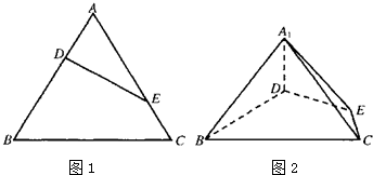 ��Ӣ�ҽ���