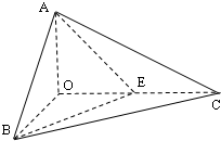 ��Ӣ�ҽ̾W(w��ng)