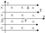 ��Ӣ�ҽ̾W(w��ng)