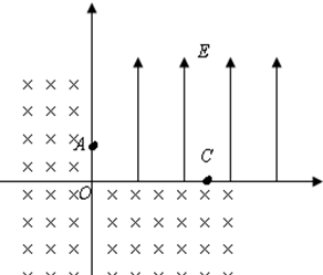 ��Ӣ�ҽ̾W(w��ng)