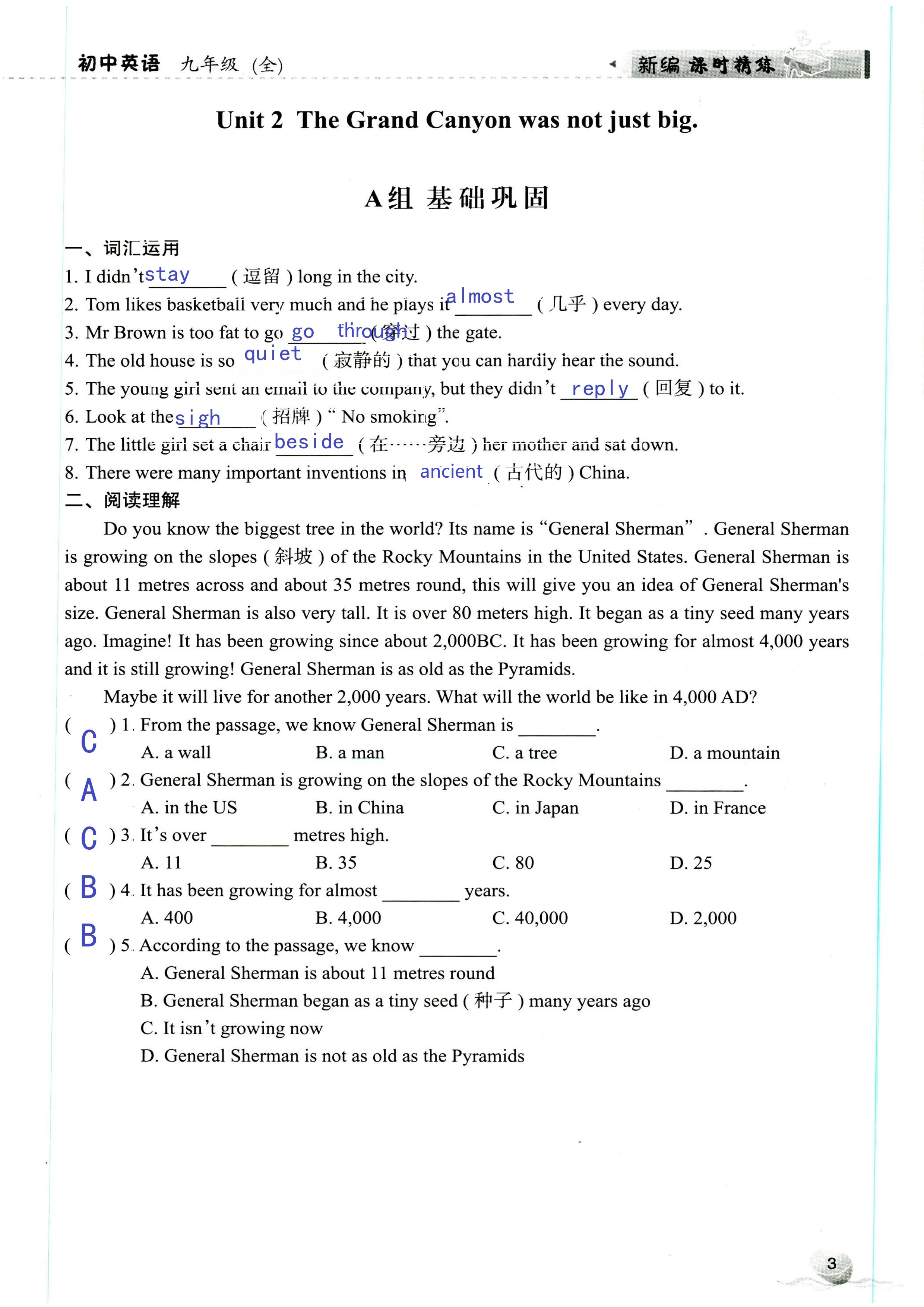 2019年课时精练初中英语九年级全一册外研版 第3页