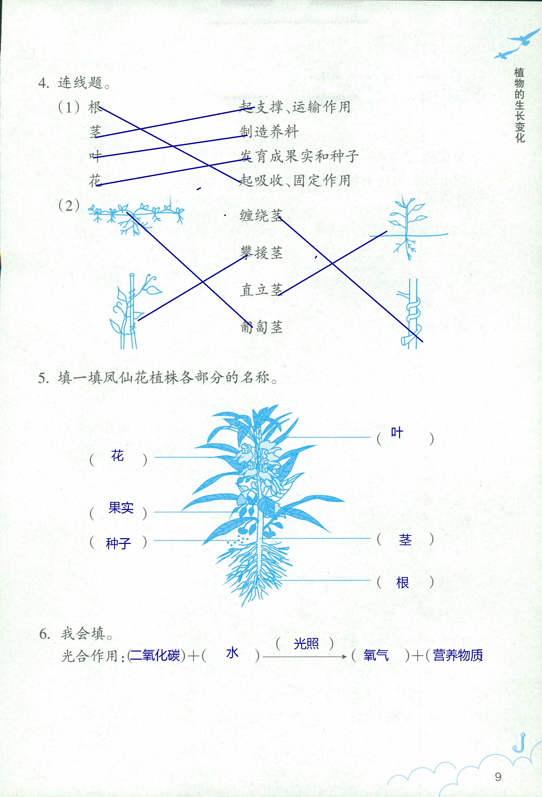 科學(xué)作業(yè)本 第9頁