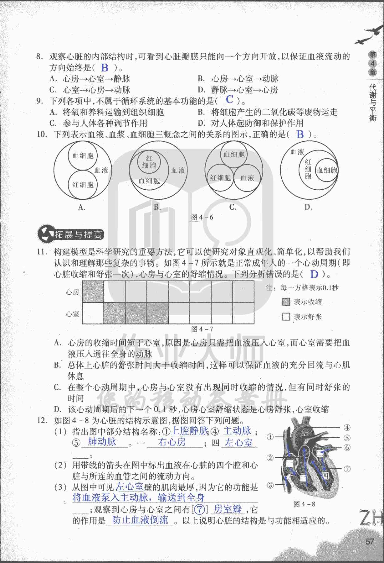 作業(yè)本B 第57頁