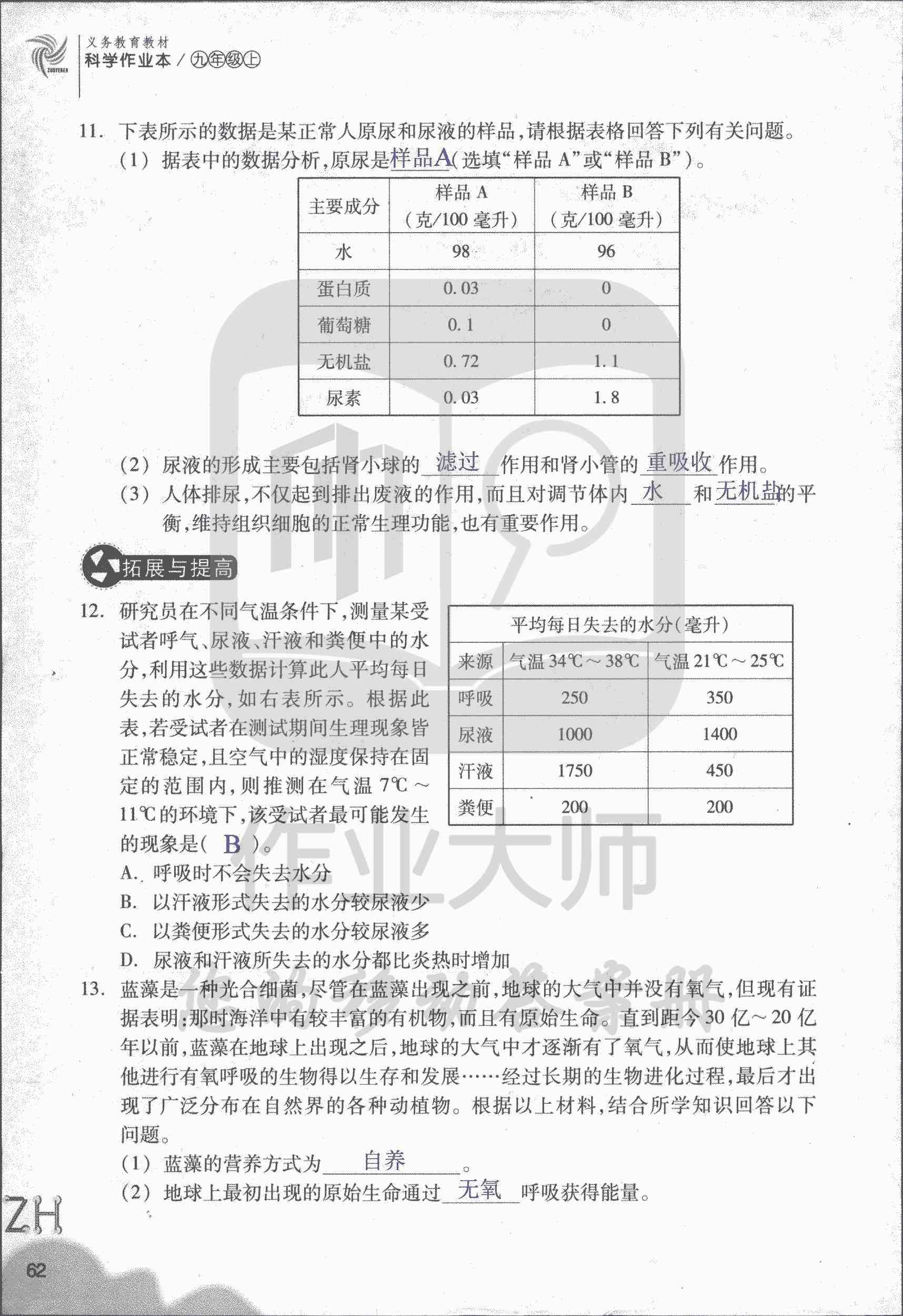 作業(yè)本B 第62頁