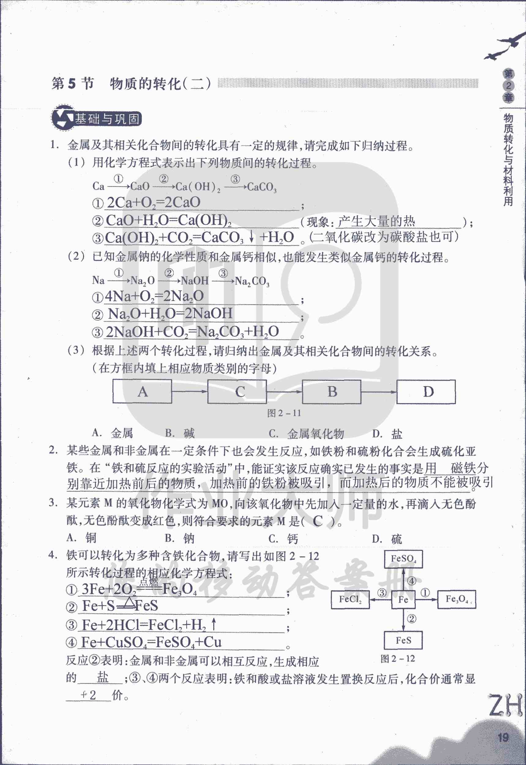 作業(yè)本B 第19頁