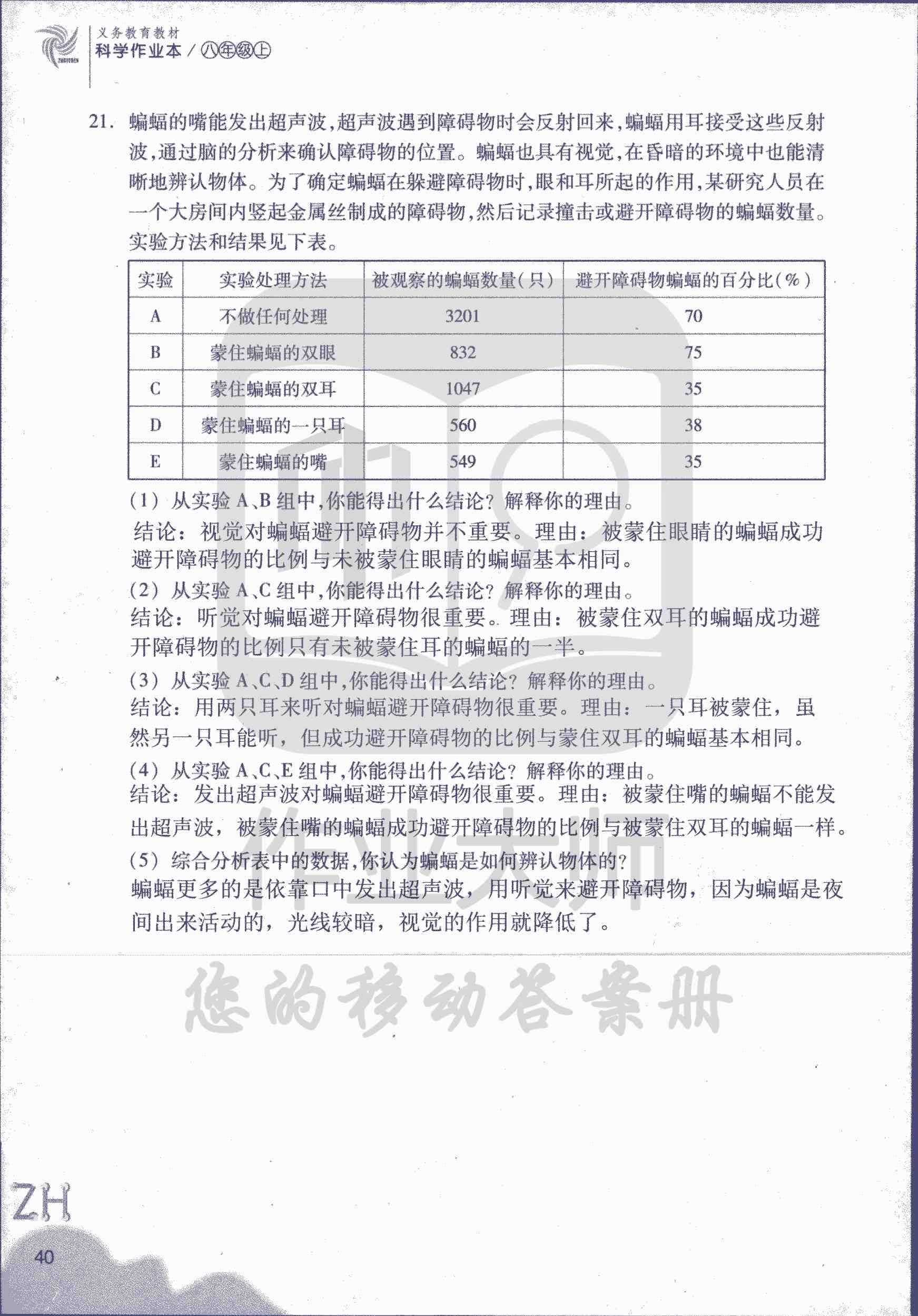 作業(yè)本B 第40頁