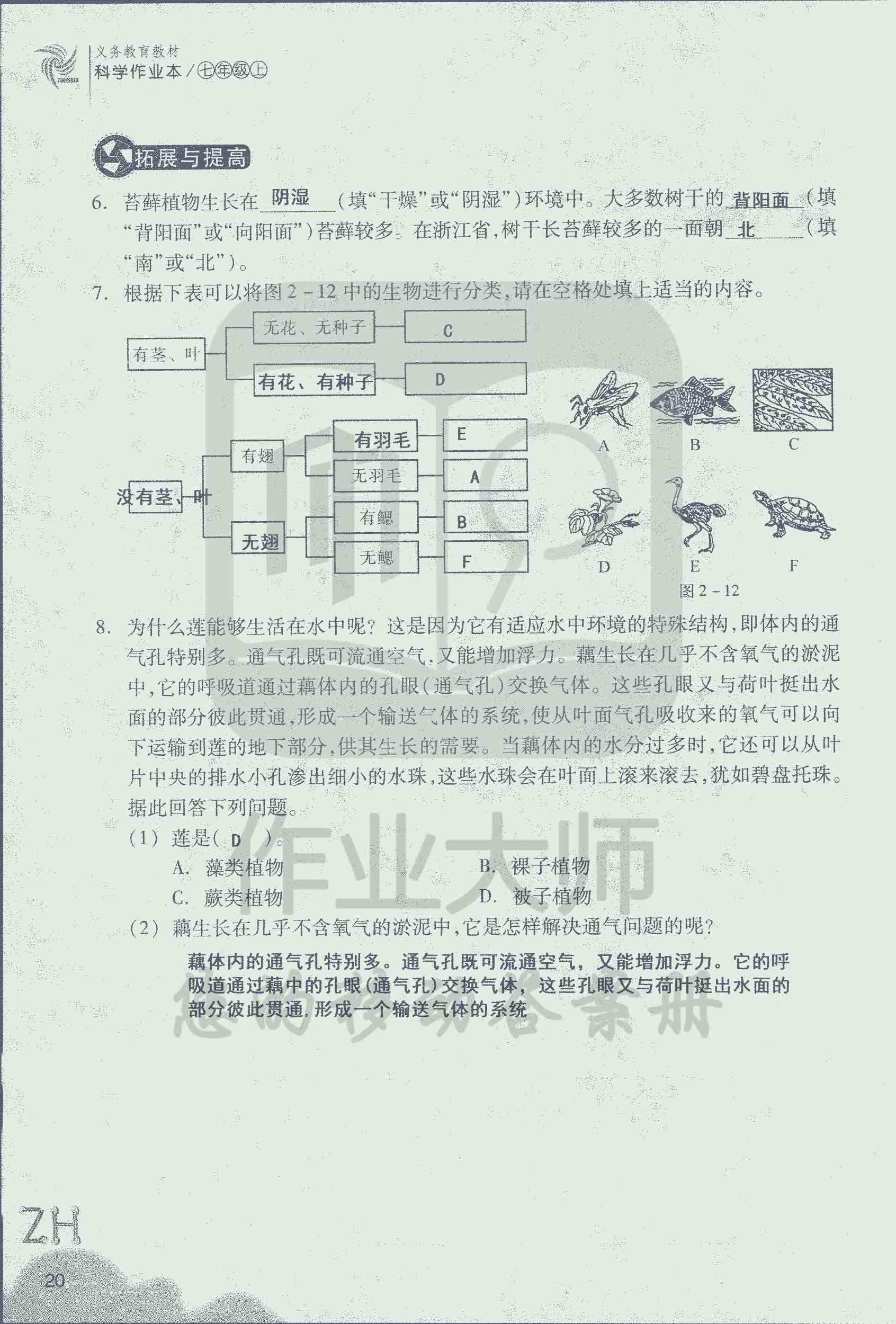 作業(yè)本B 第20頁(yè)