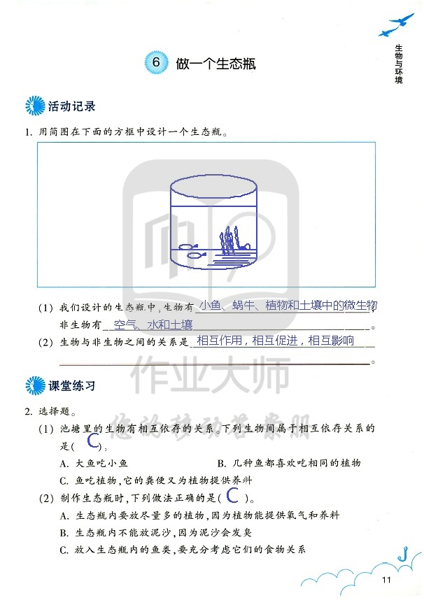 科学作业本 第11页