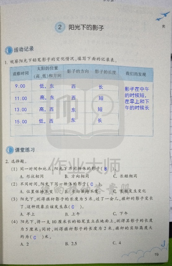 科学作业本 第19页