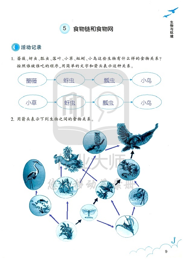 科学作业本 第9页