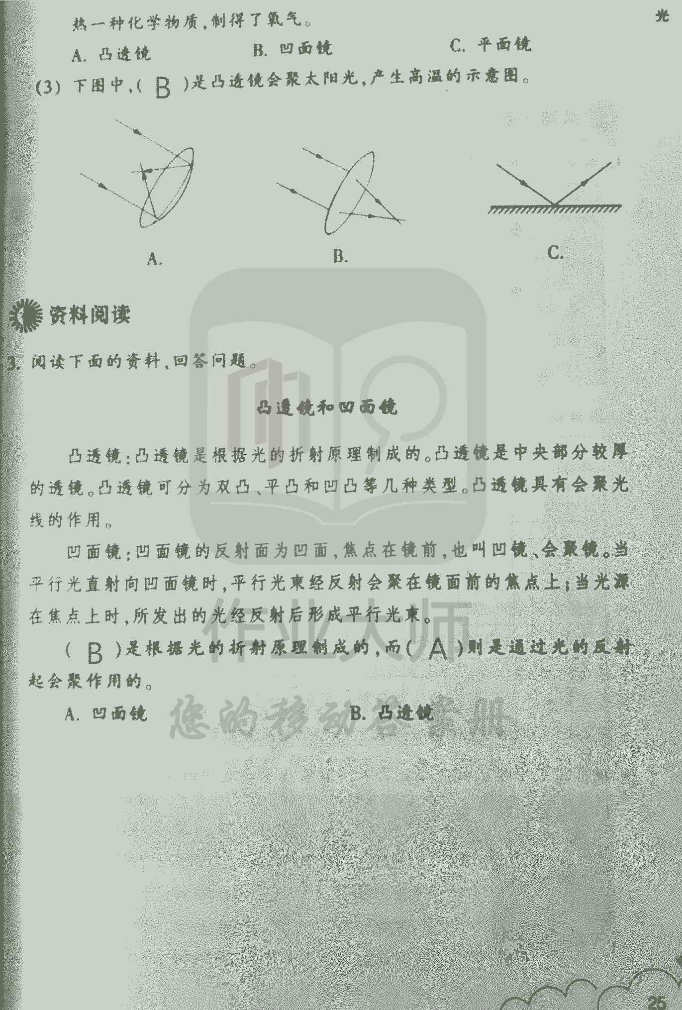 科學(xué)作業(yè)本 第25頁