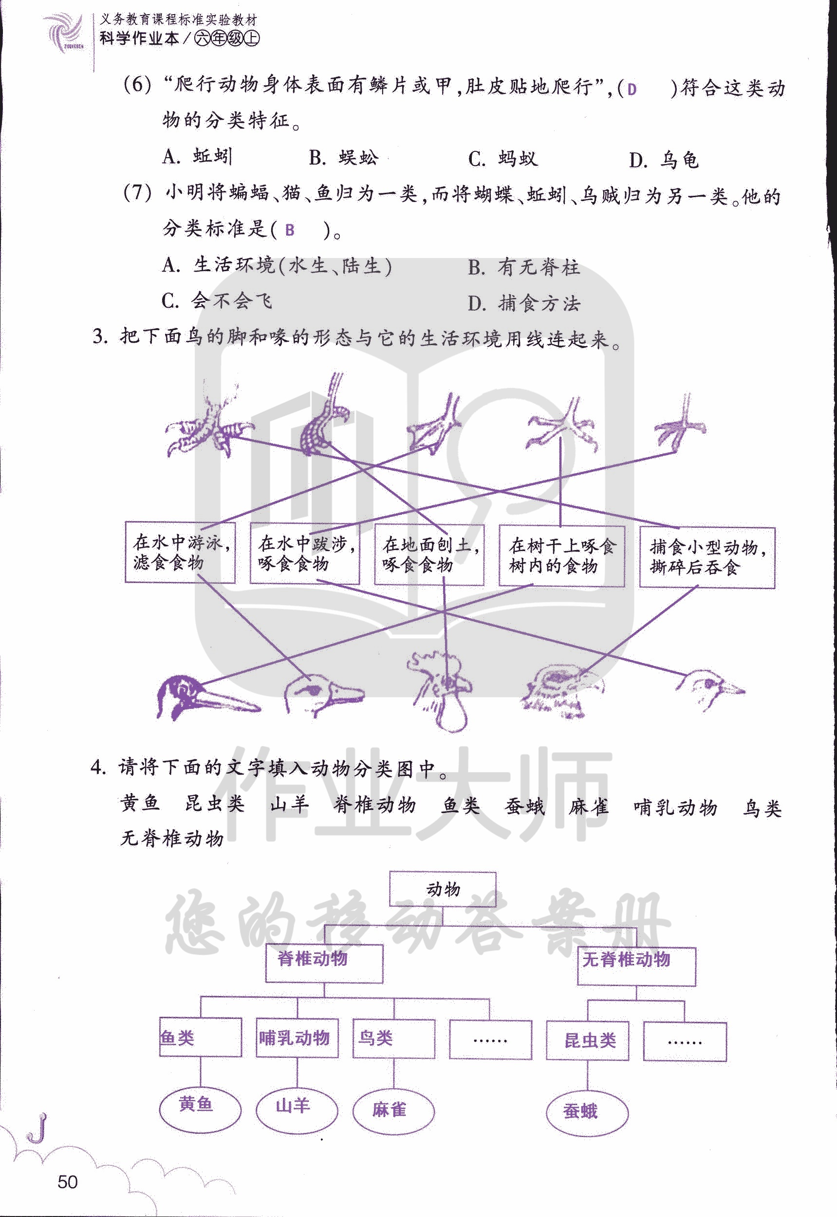 科學(xué)作業(yè)本 第50頁