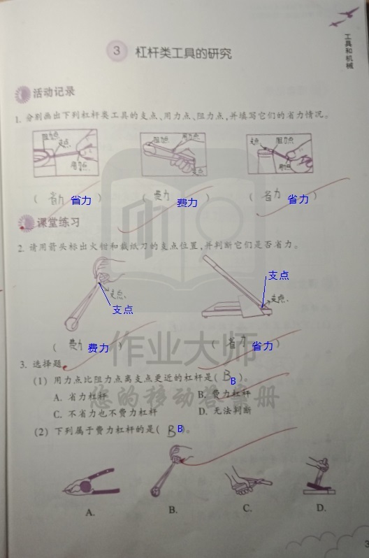 科學(xué)作業(yè)本 第3頁