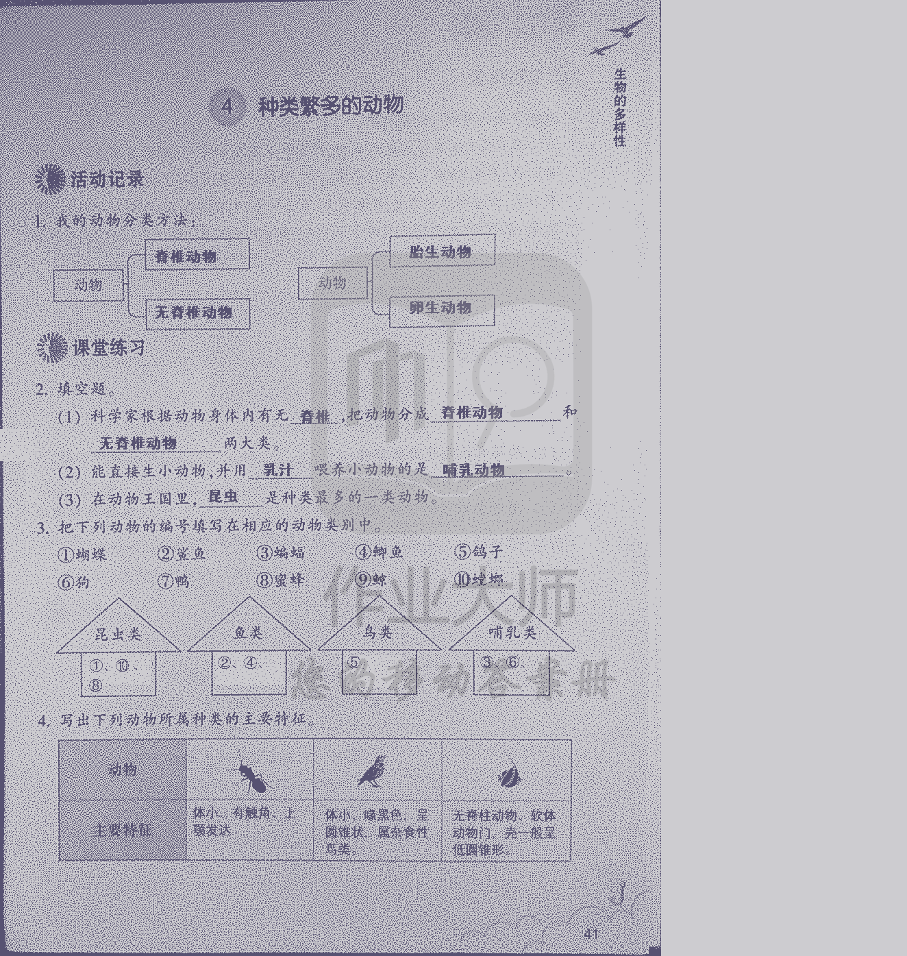 科學(xué)作業(yè)本 第41頁