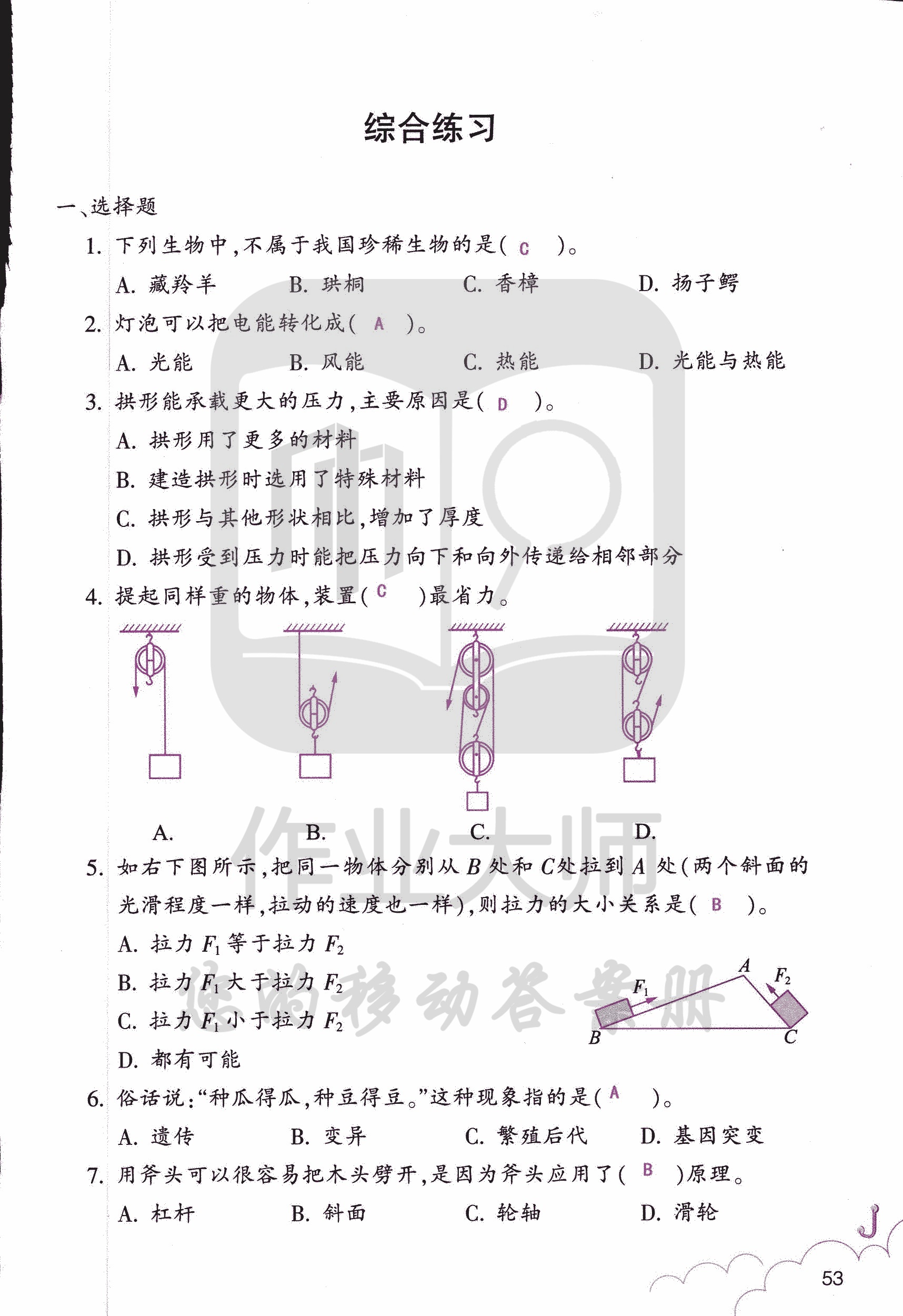 科學作業(yè)本 第53頁