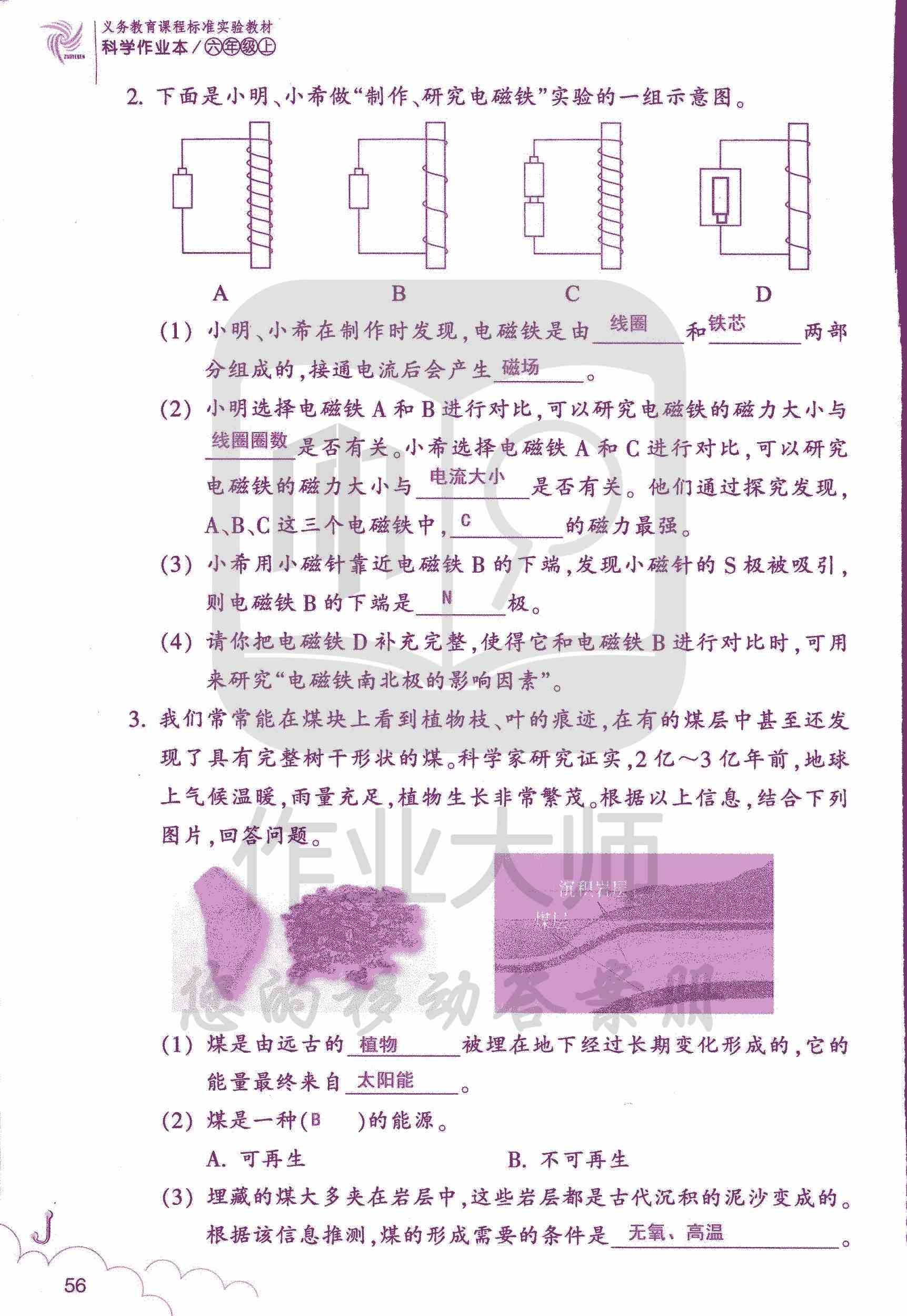 科學(xué)作業(yè)本 第56頁