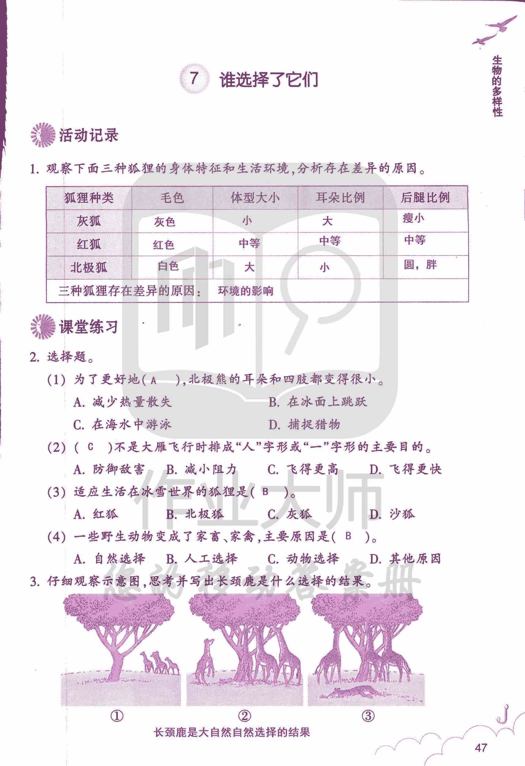 科學(xué)作業(yè)本 第47頁