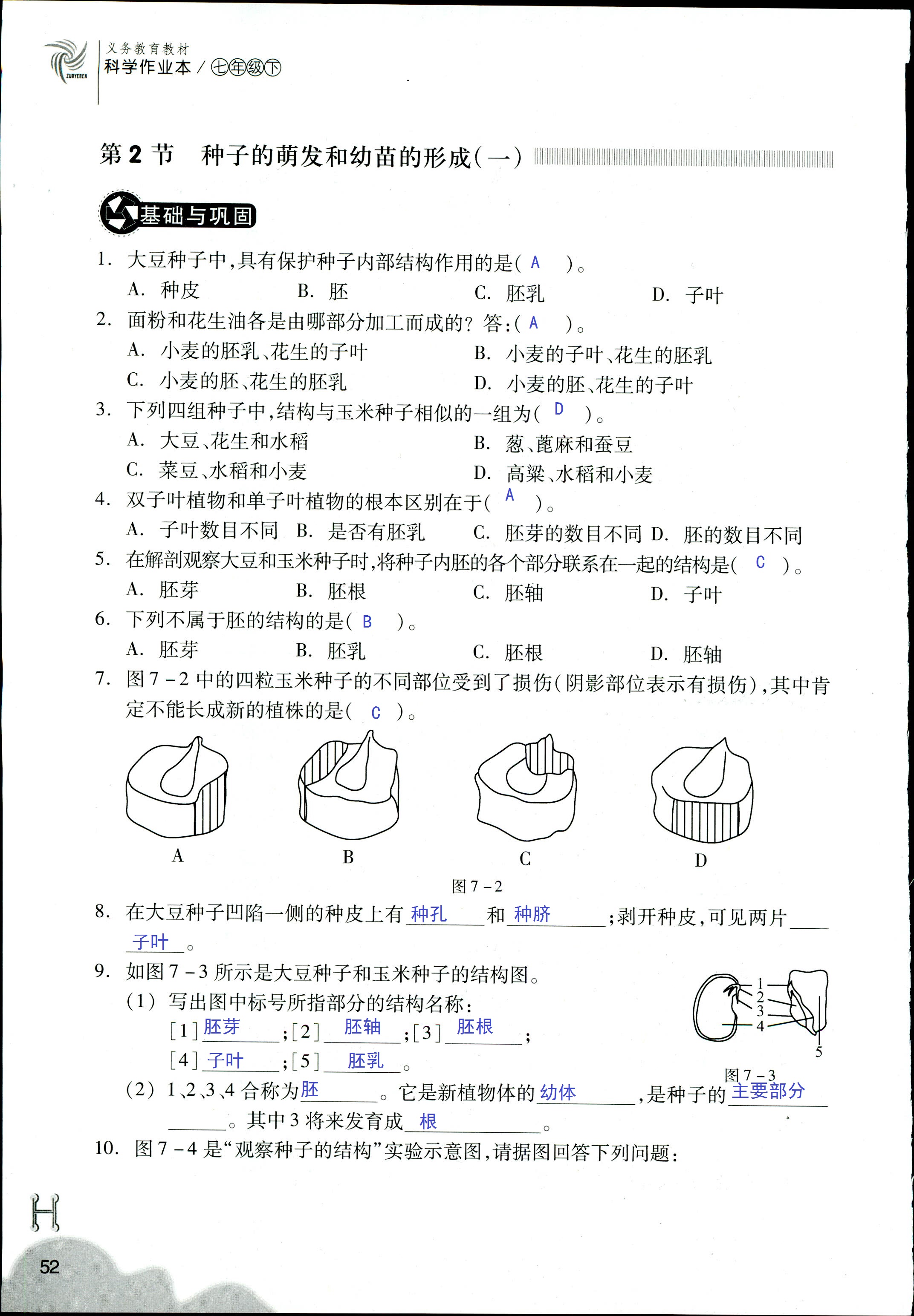 作業(yè)本 第52頁