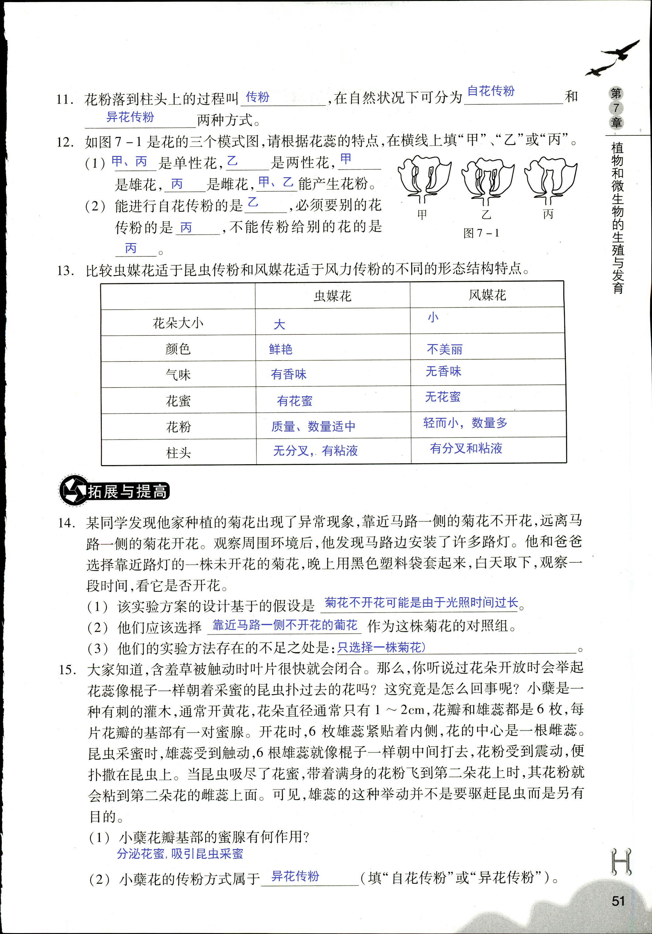 作业本 第51页