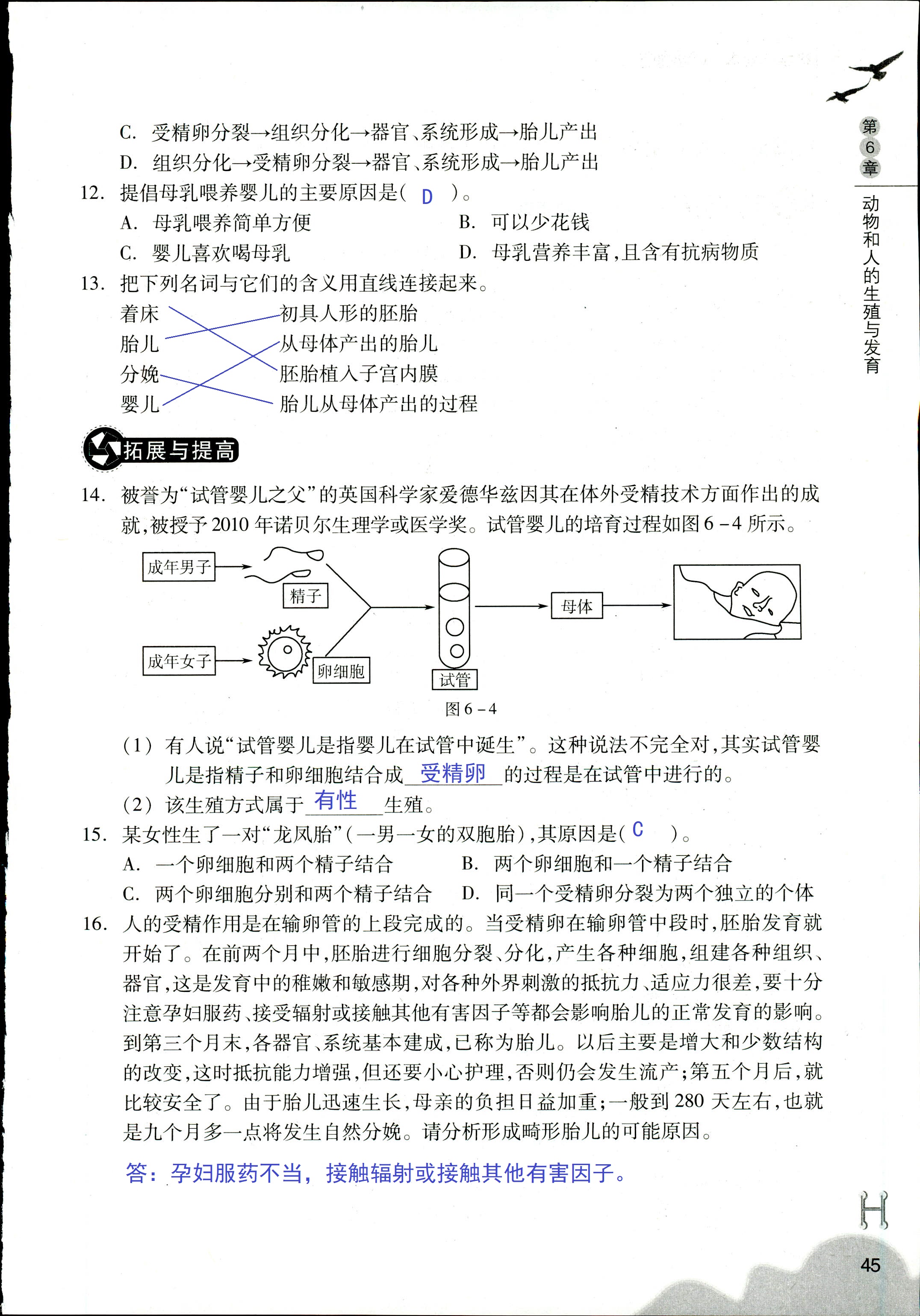 作业本 第45页