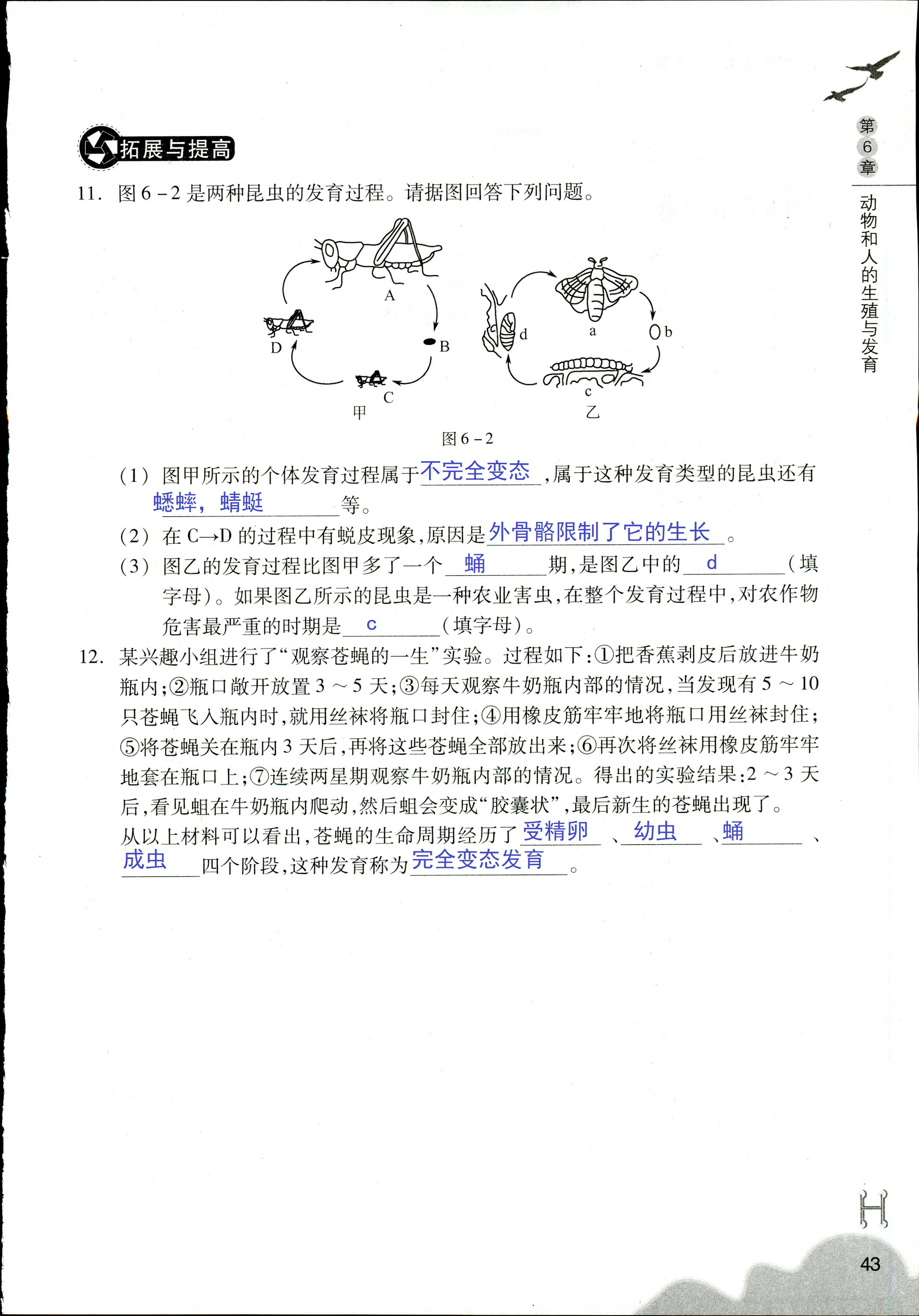 作业本 第43页