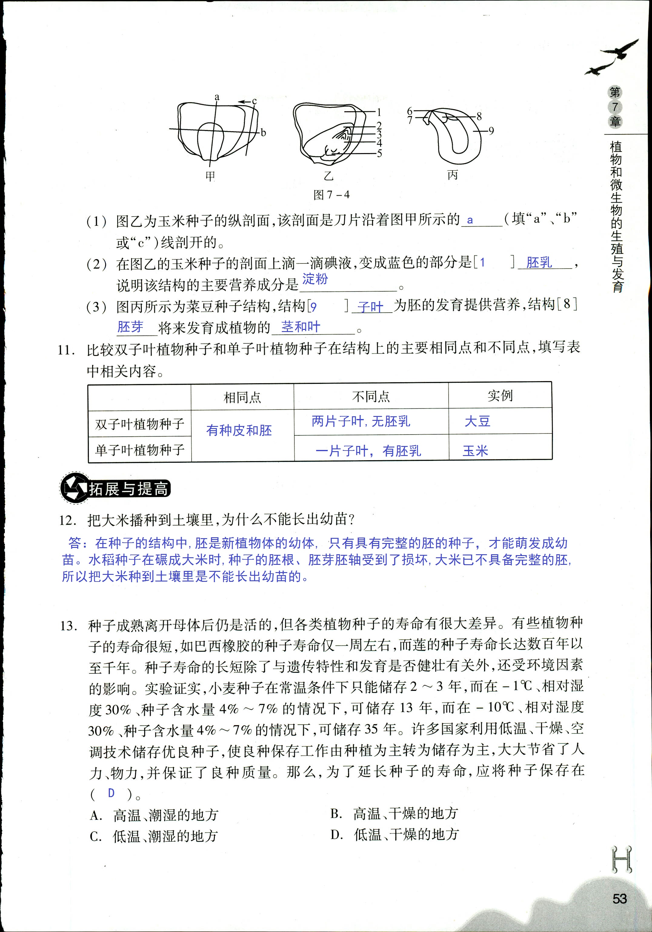 作业本 第53页