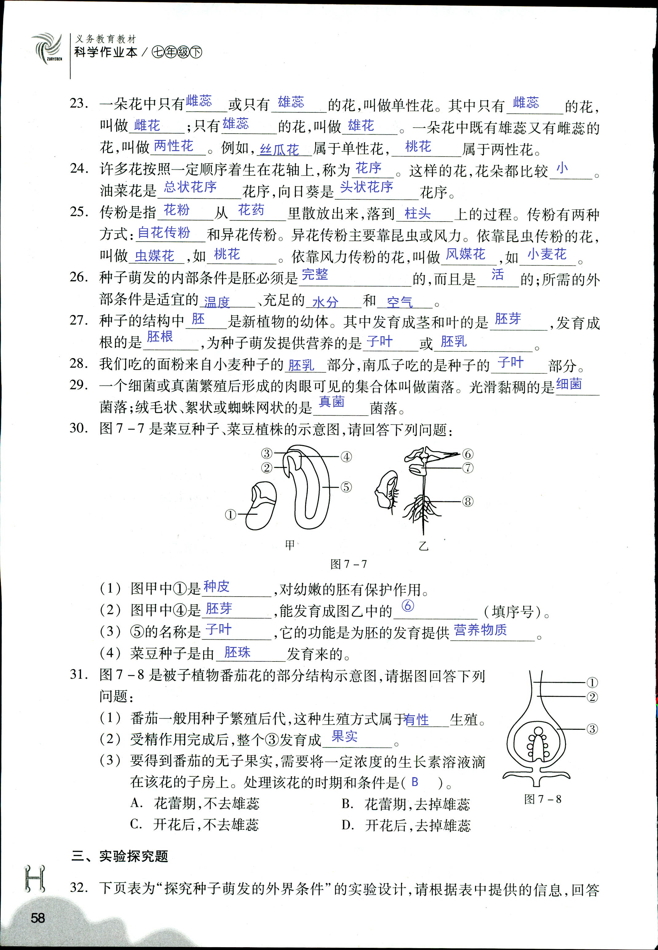 作业本 第58页