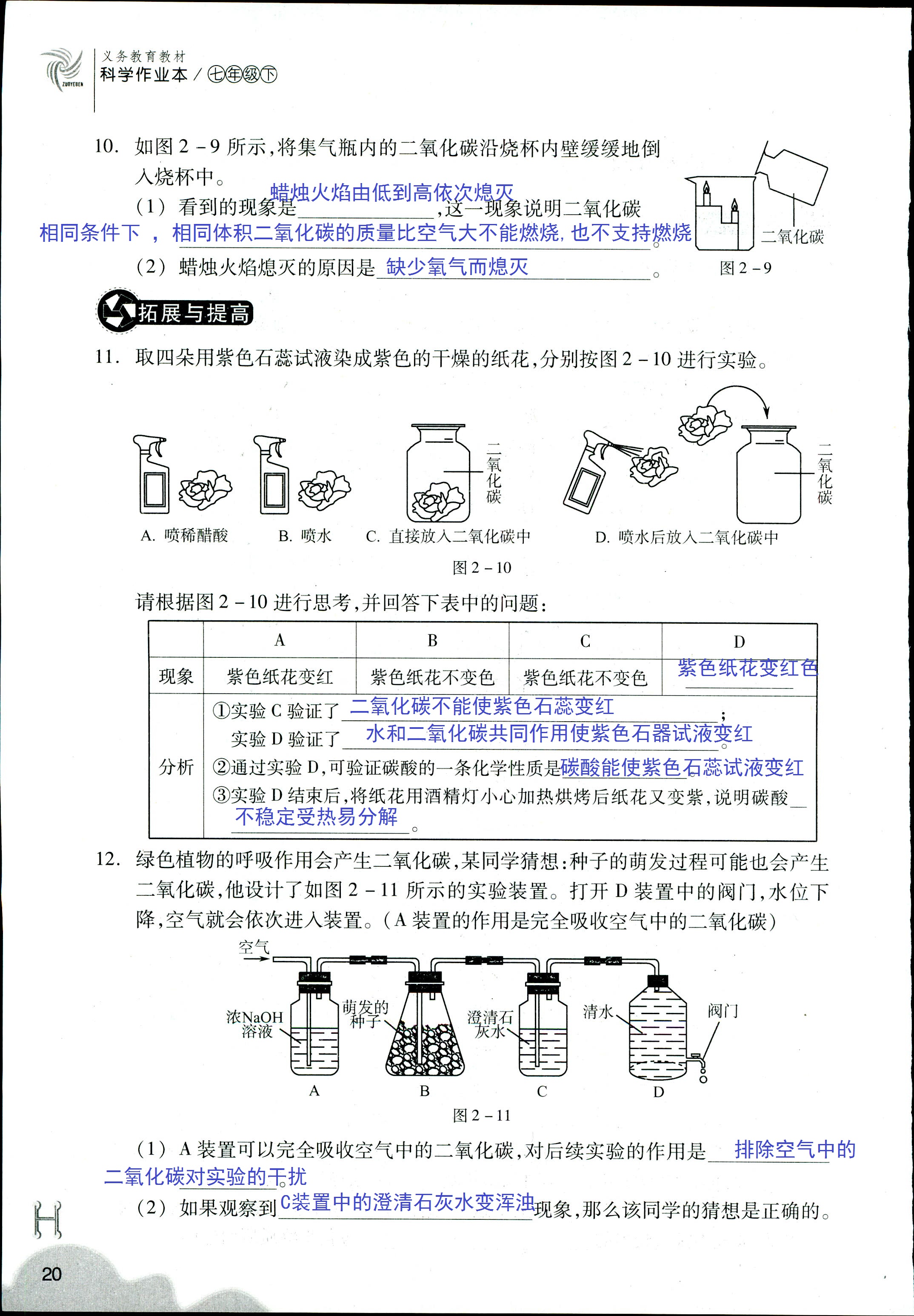 作业本 第20页