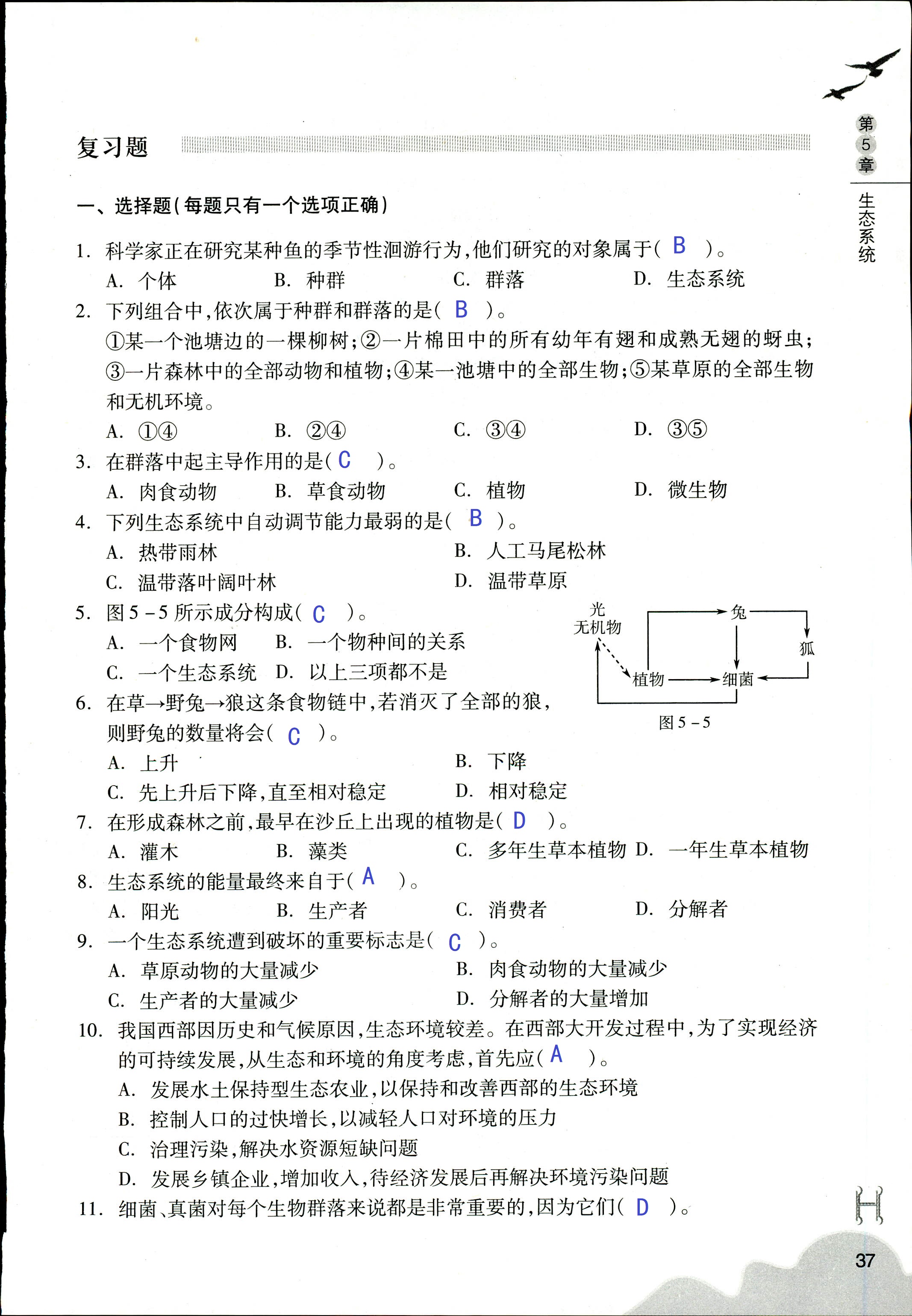 作业本 第37页