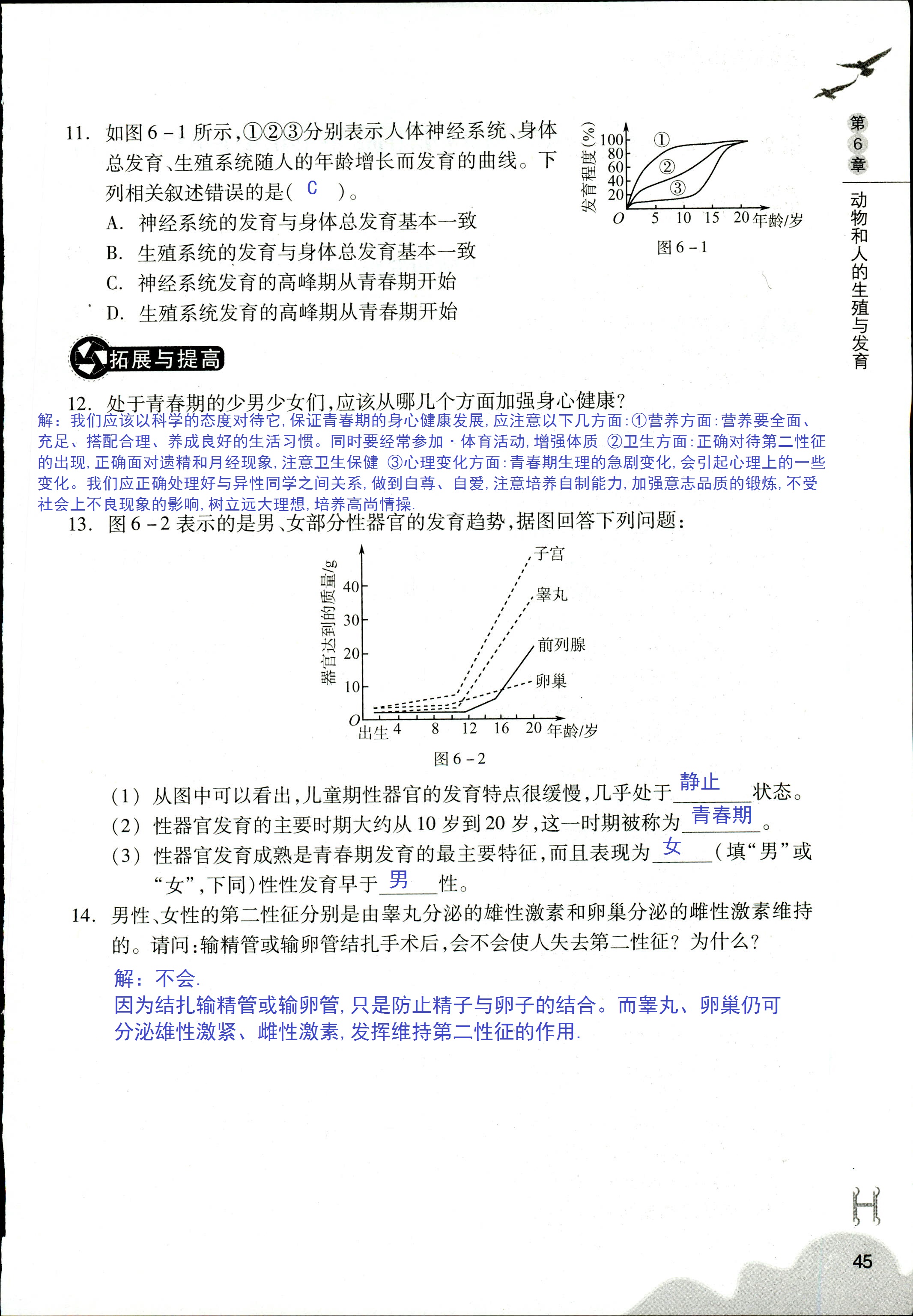 作业本 第45页