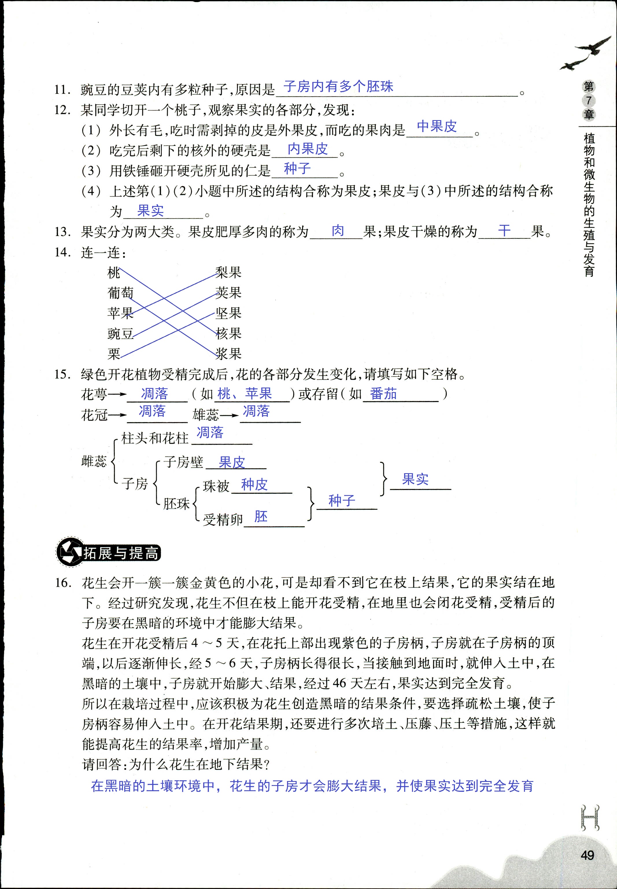 作业本 第49页