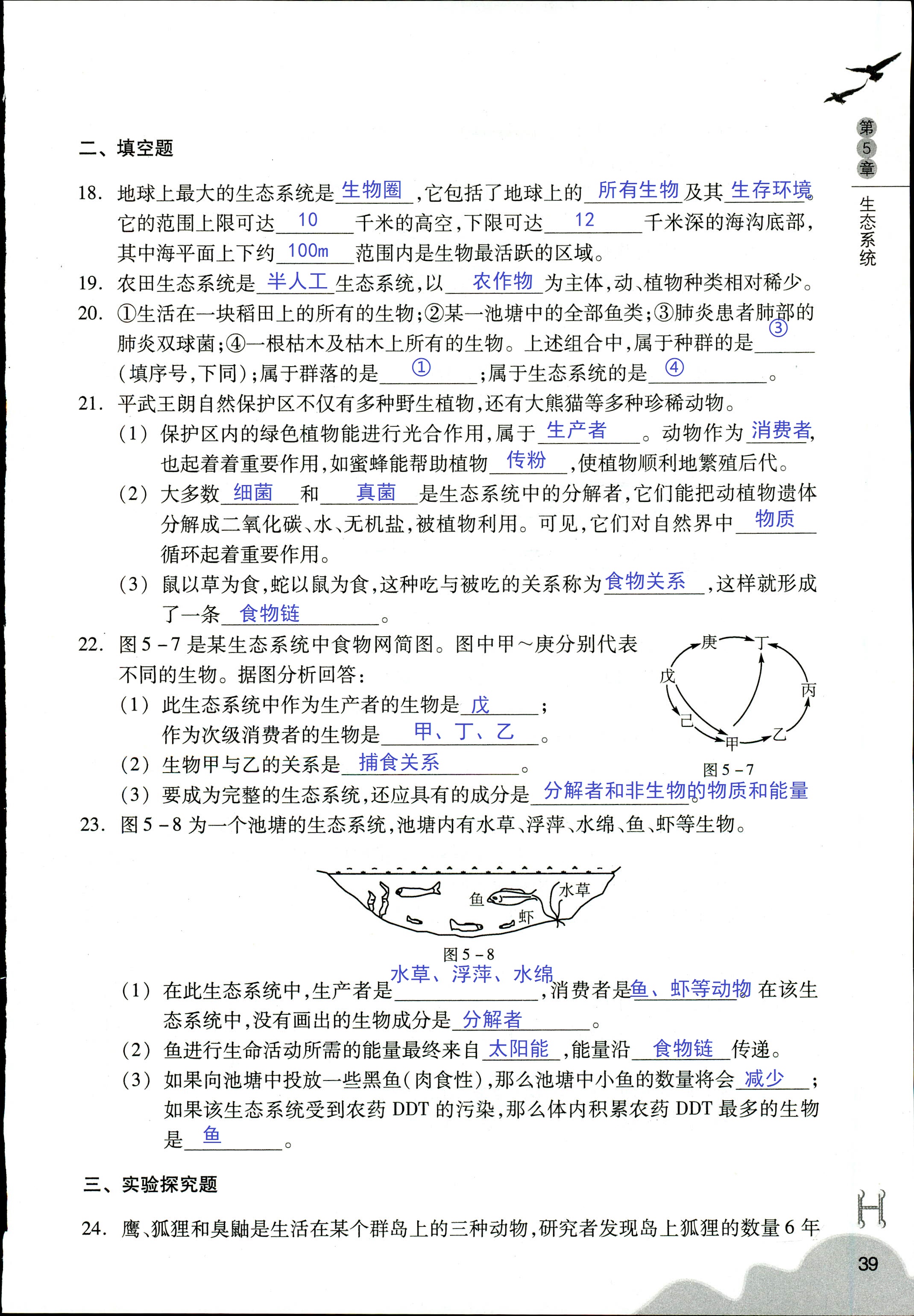 作业本 第39页