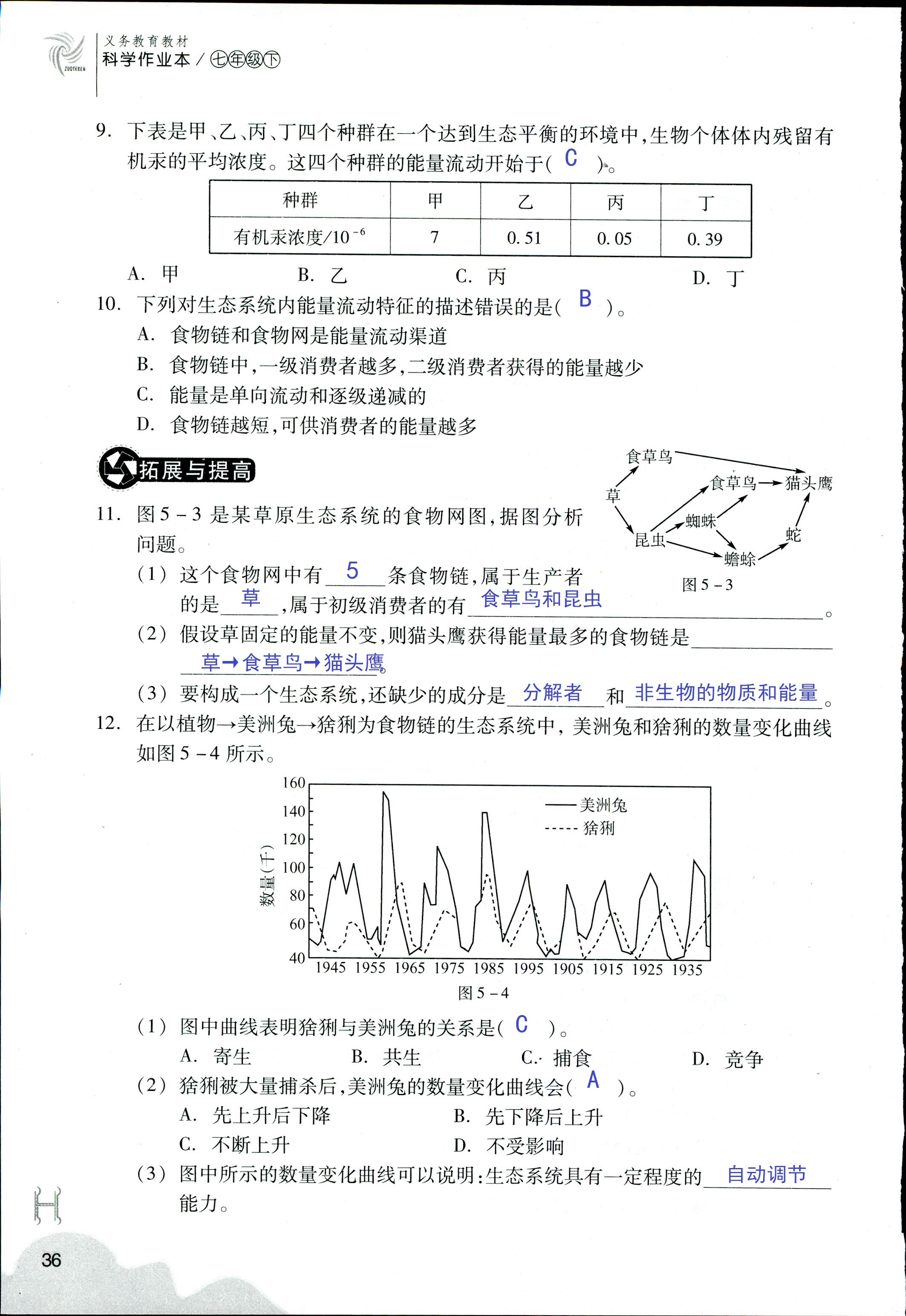 作業(yè)本 第36頁