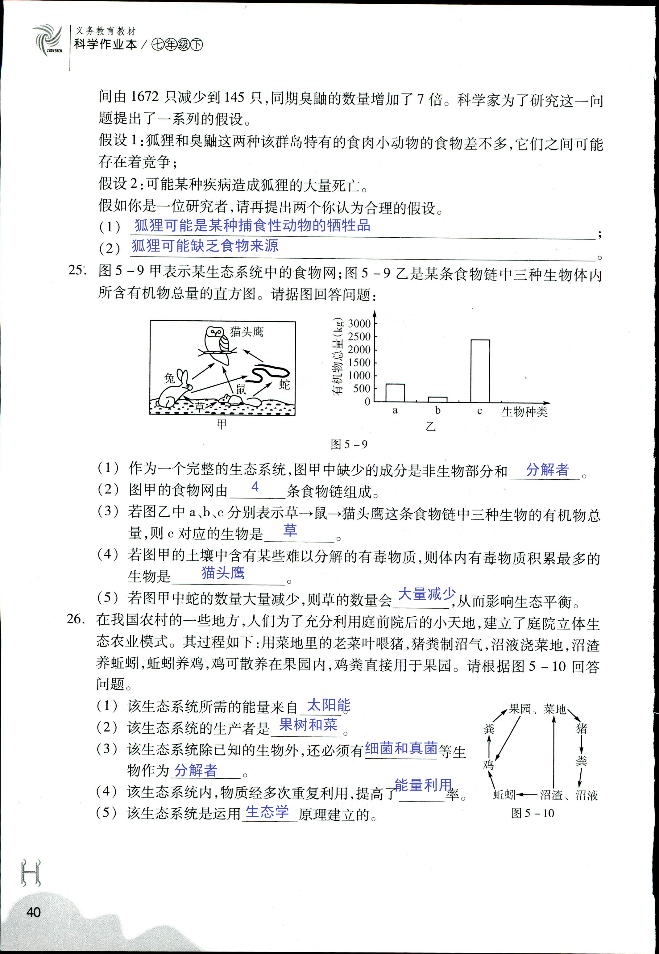 作業(yè)本 第40頁