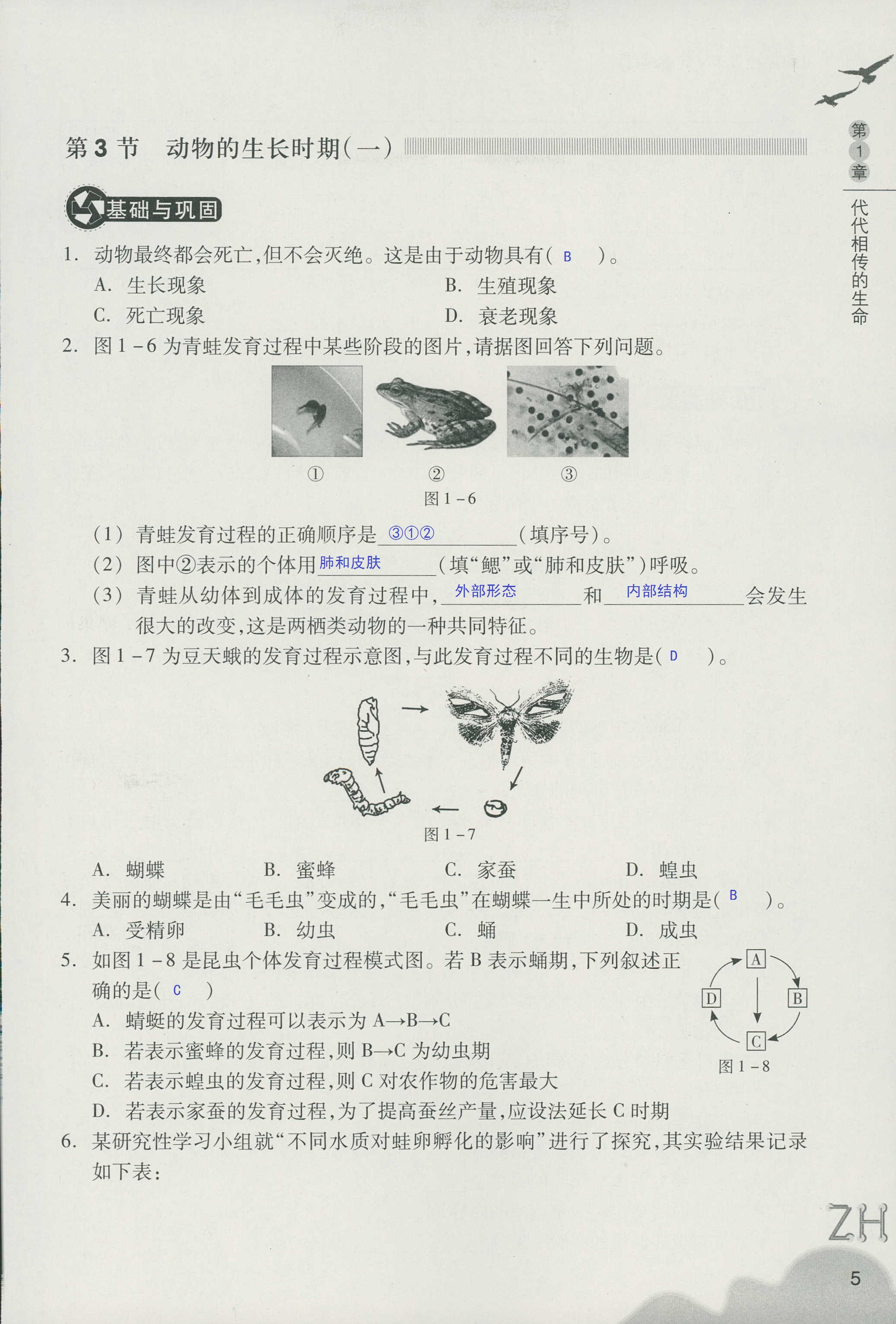 作業(yè)本A 第5頁