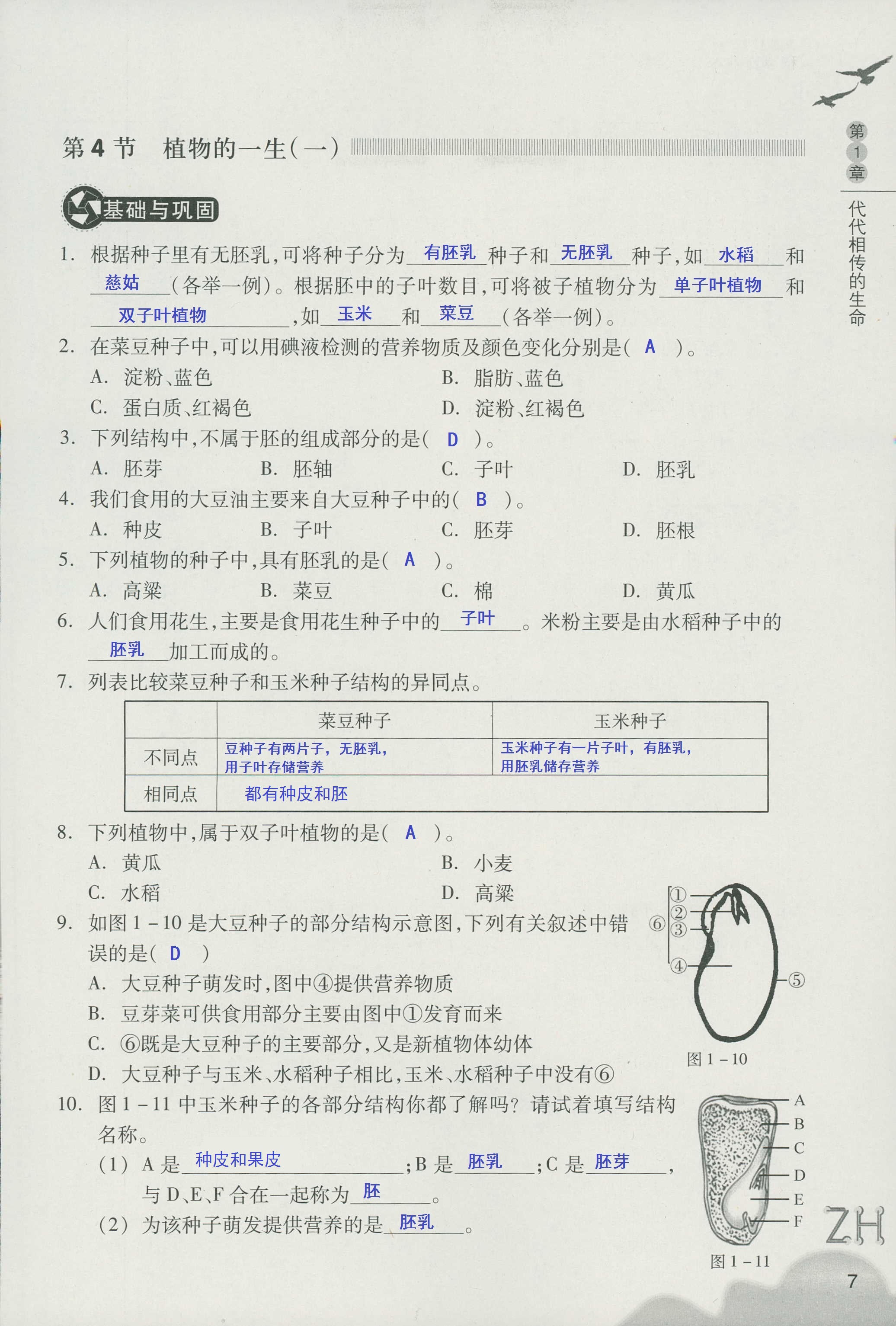 作业本A 第7页