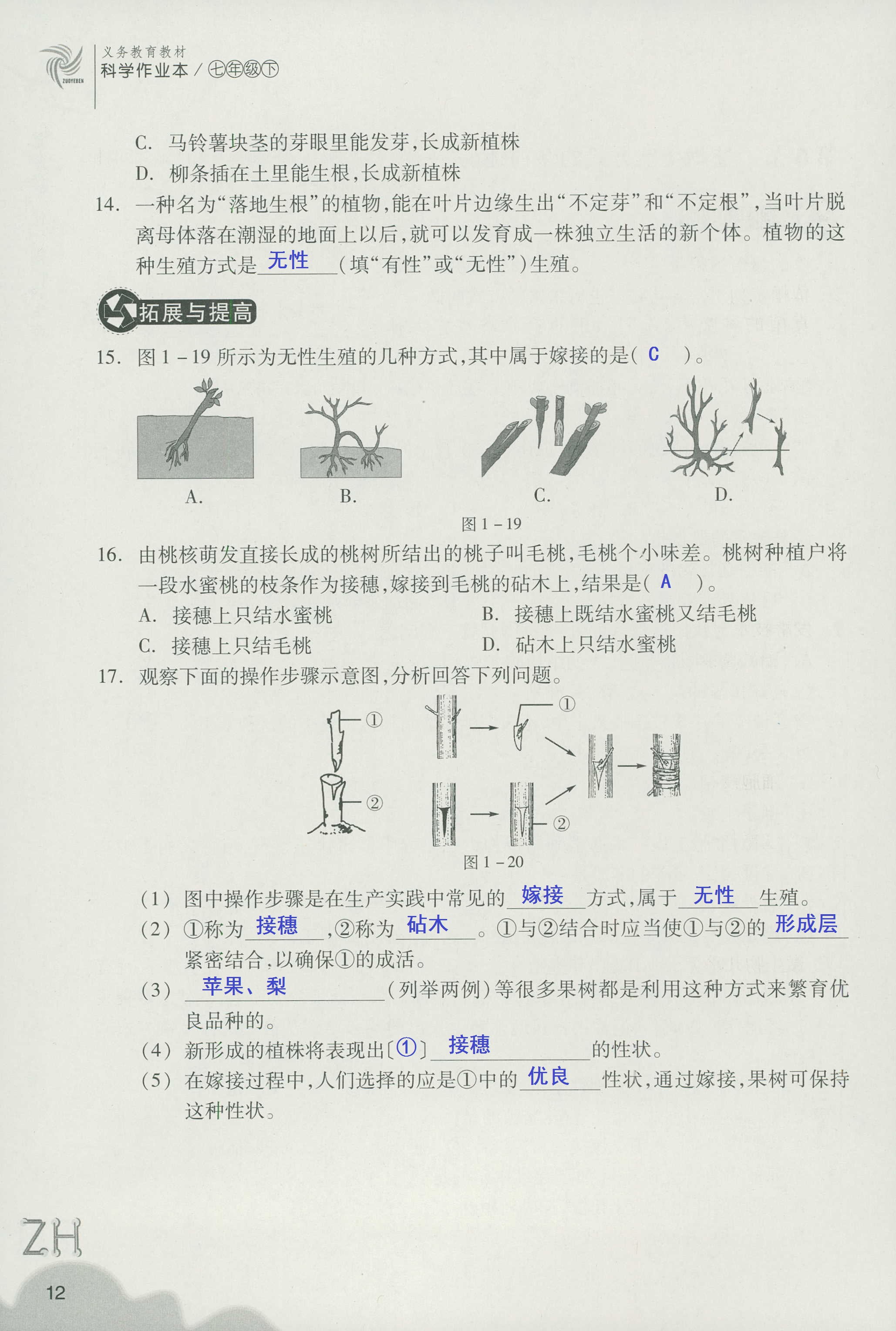 作业本A 第12页