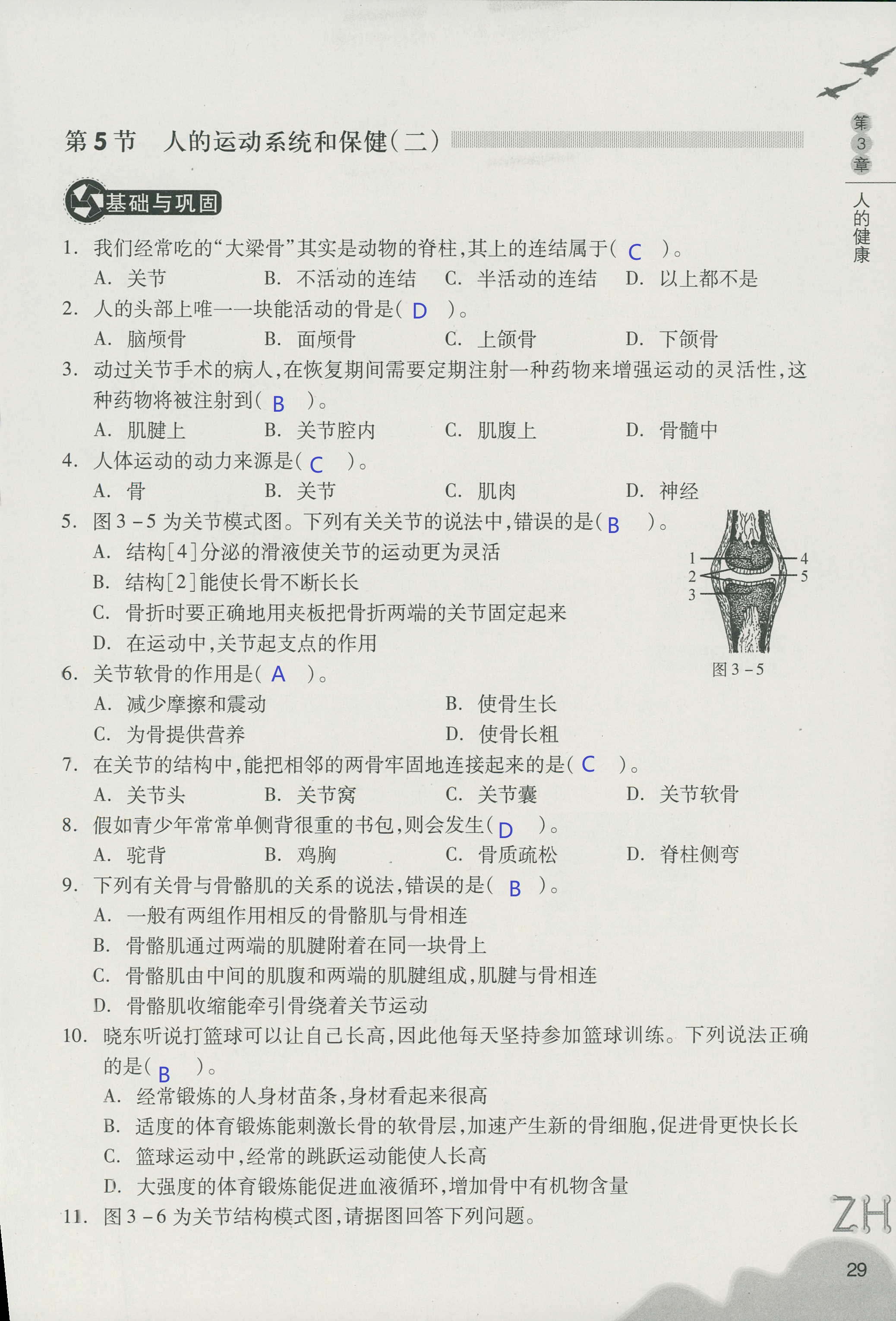 作业本B 第29页