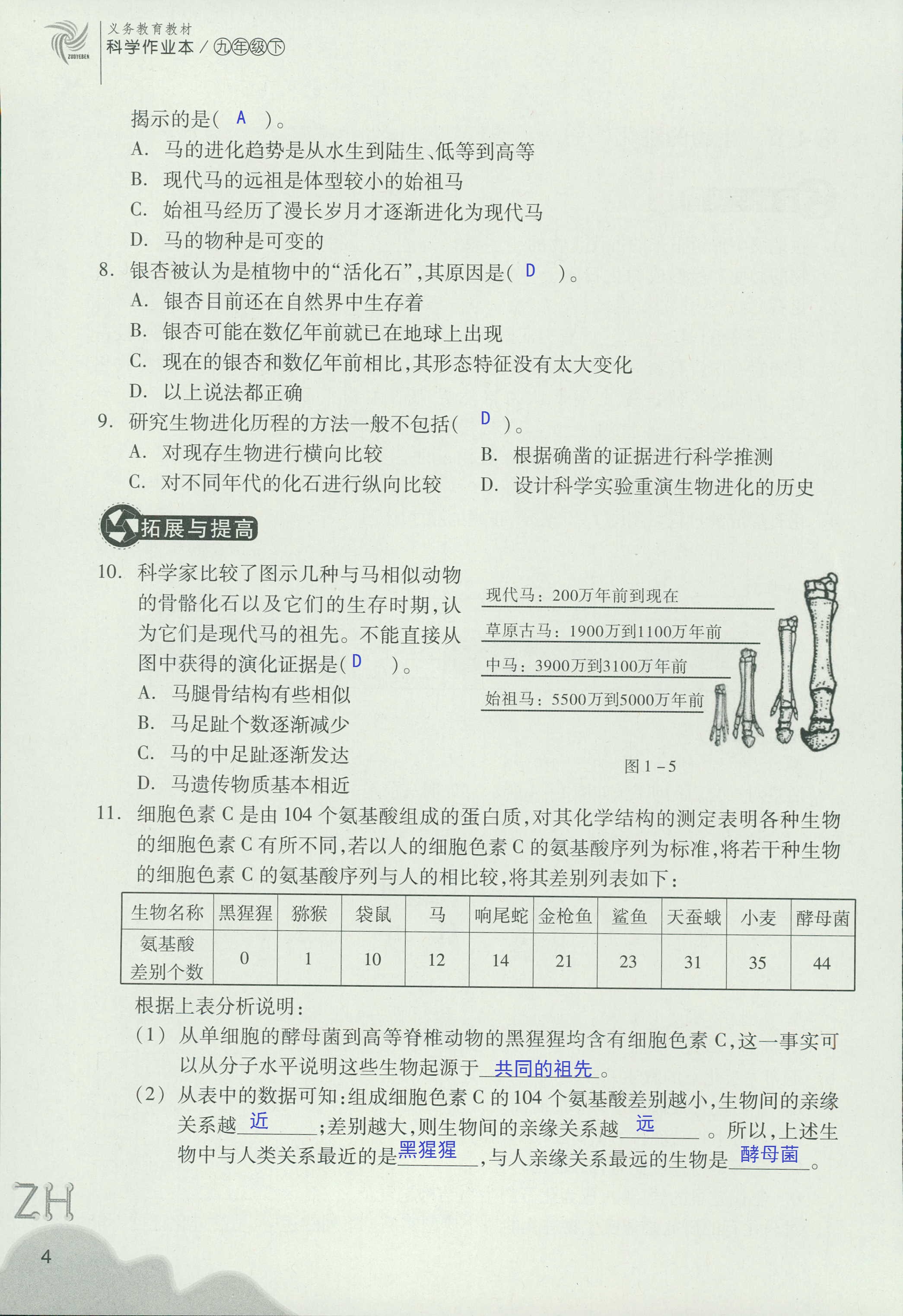 作業(yè)本B 第4頁(yè)