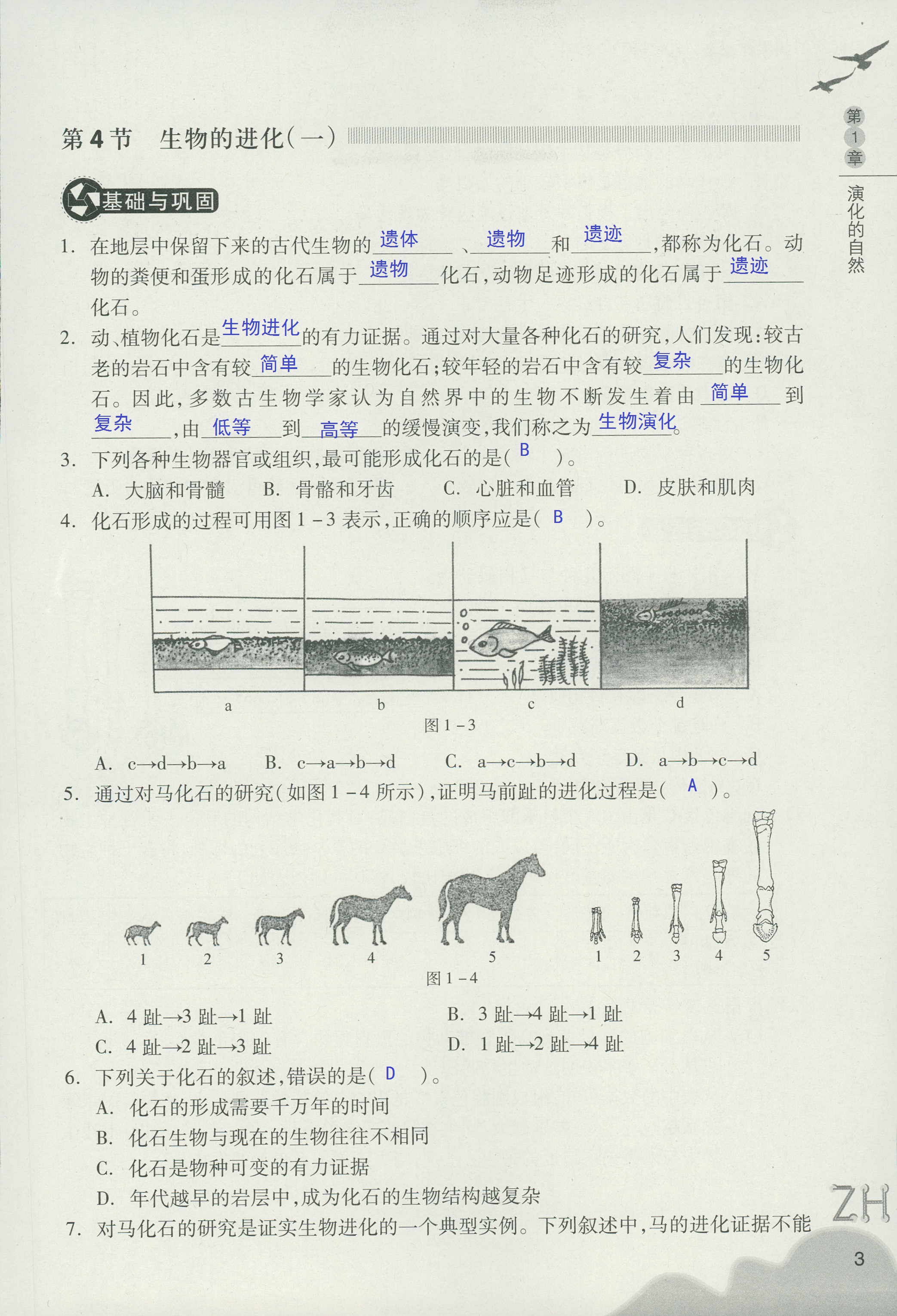 作业本B 第3页