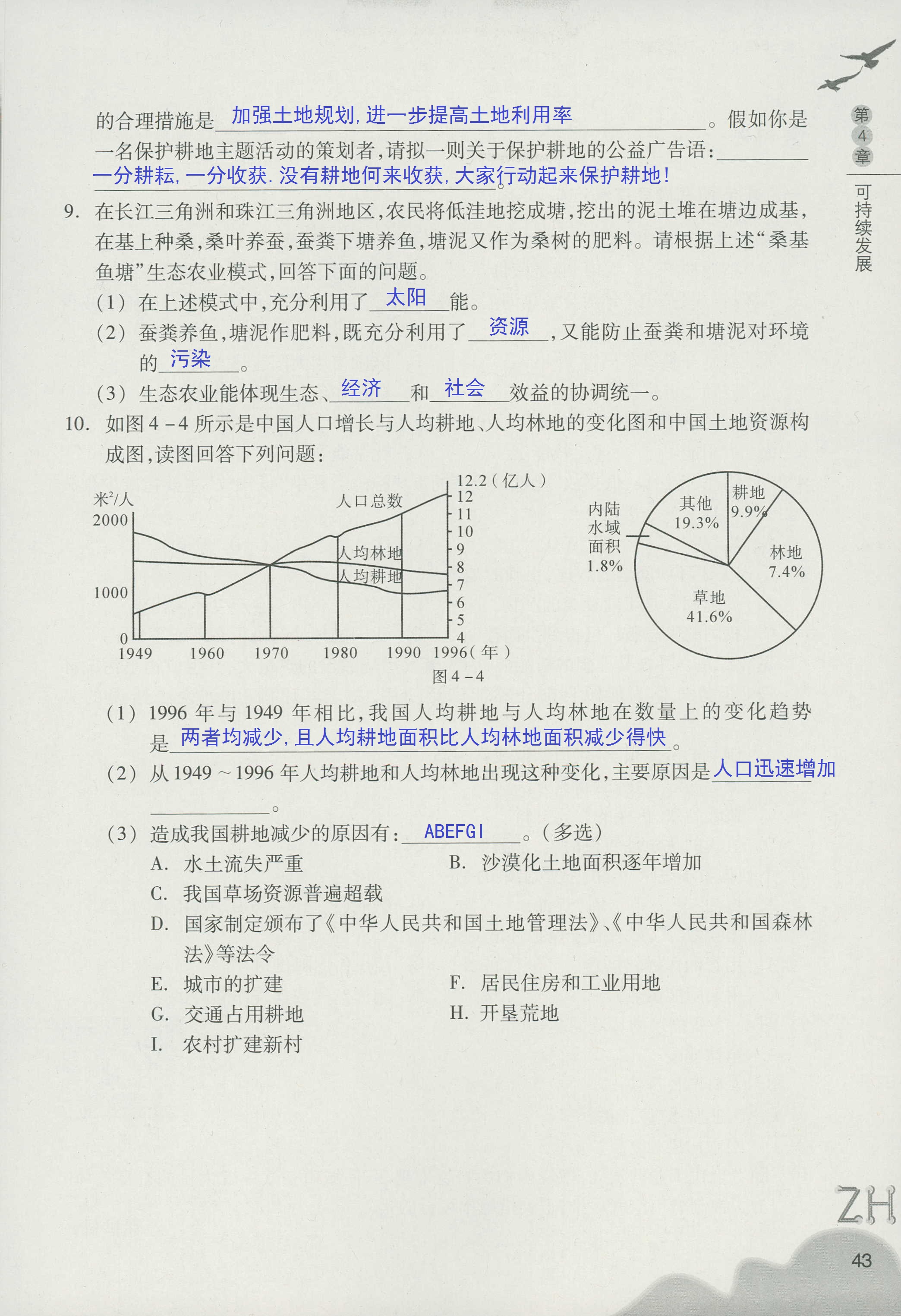 作业本B 第43页