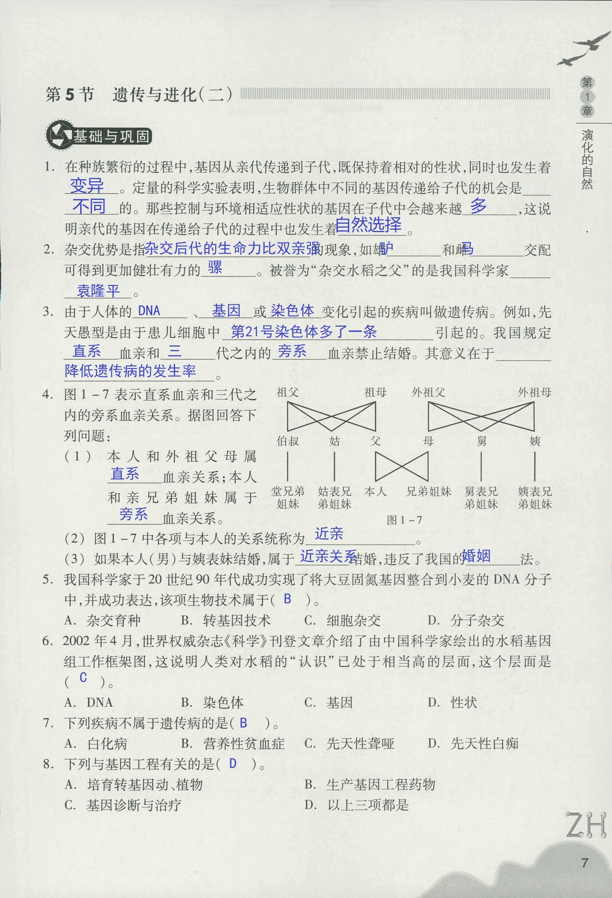 作业本B 第7页