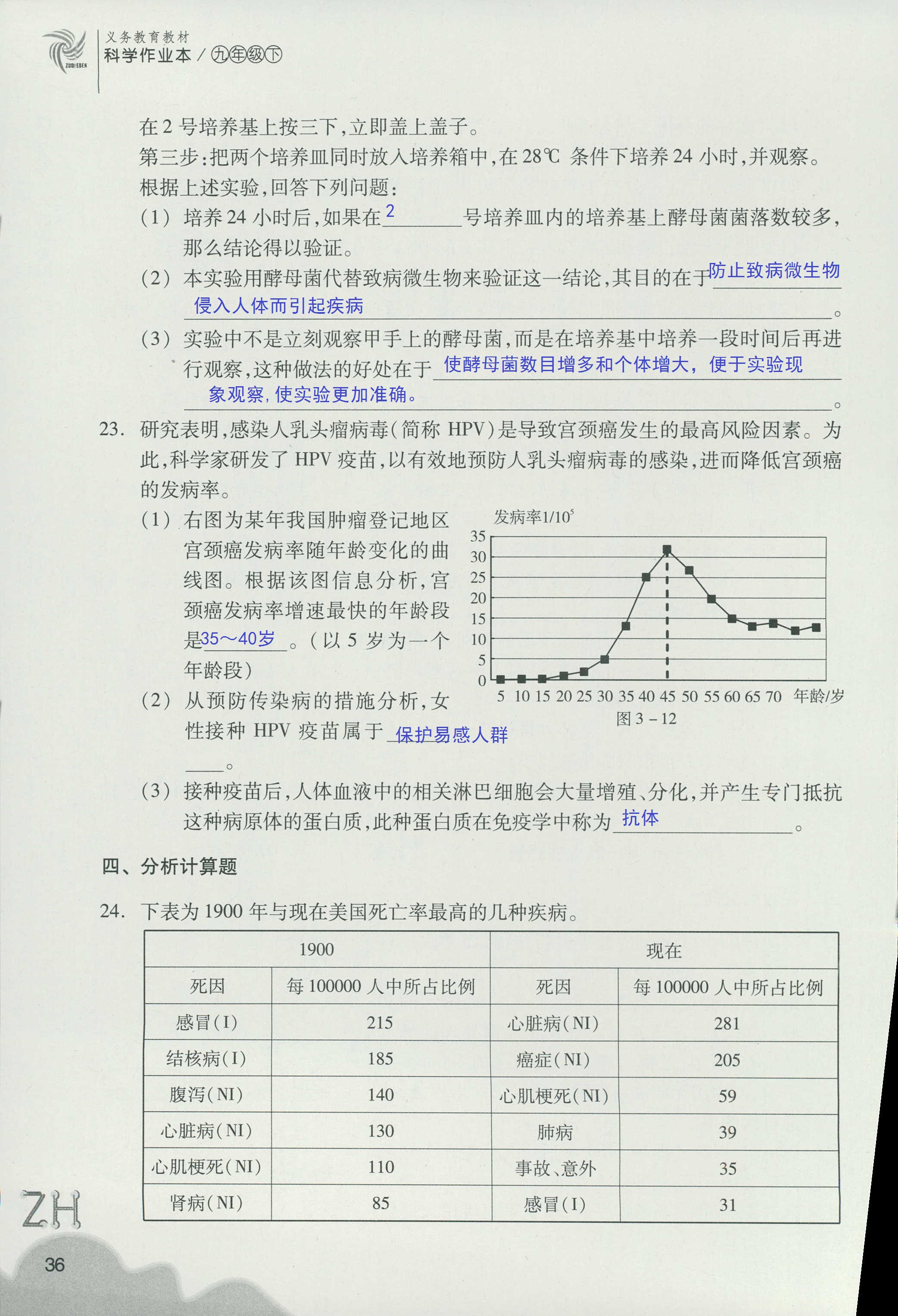 作業(yè)本B 第36頁