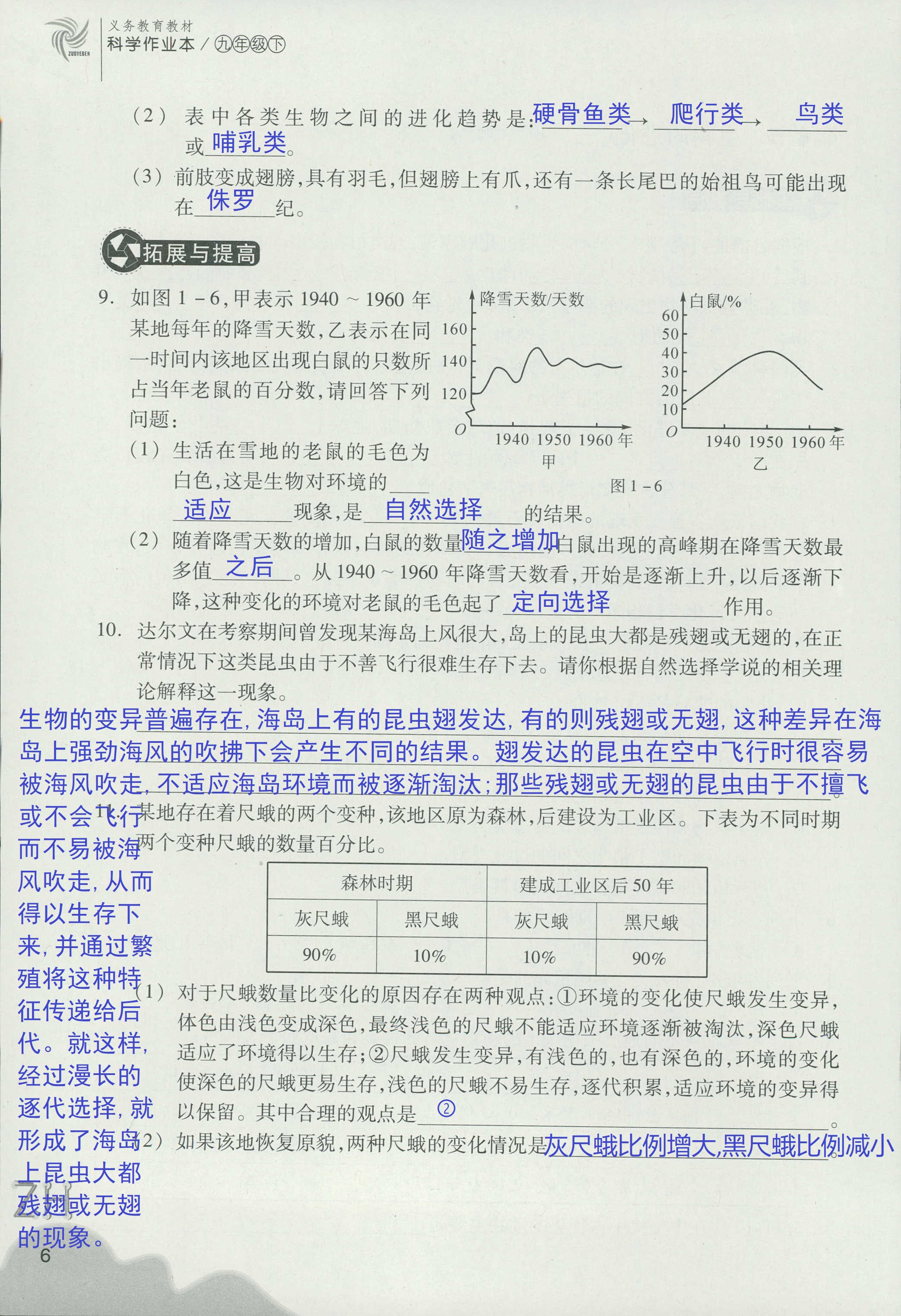 作业本B 第6页