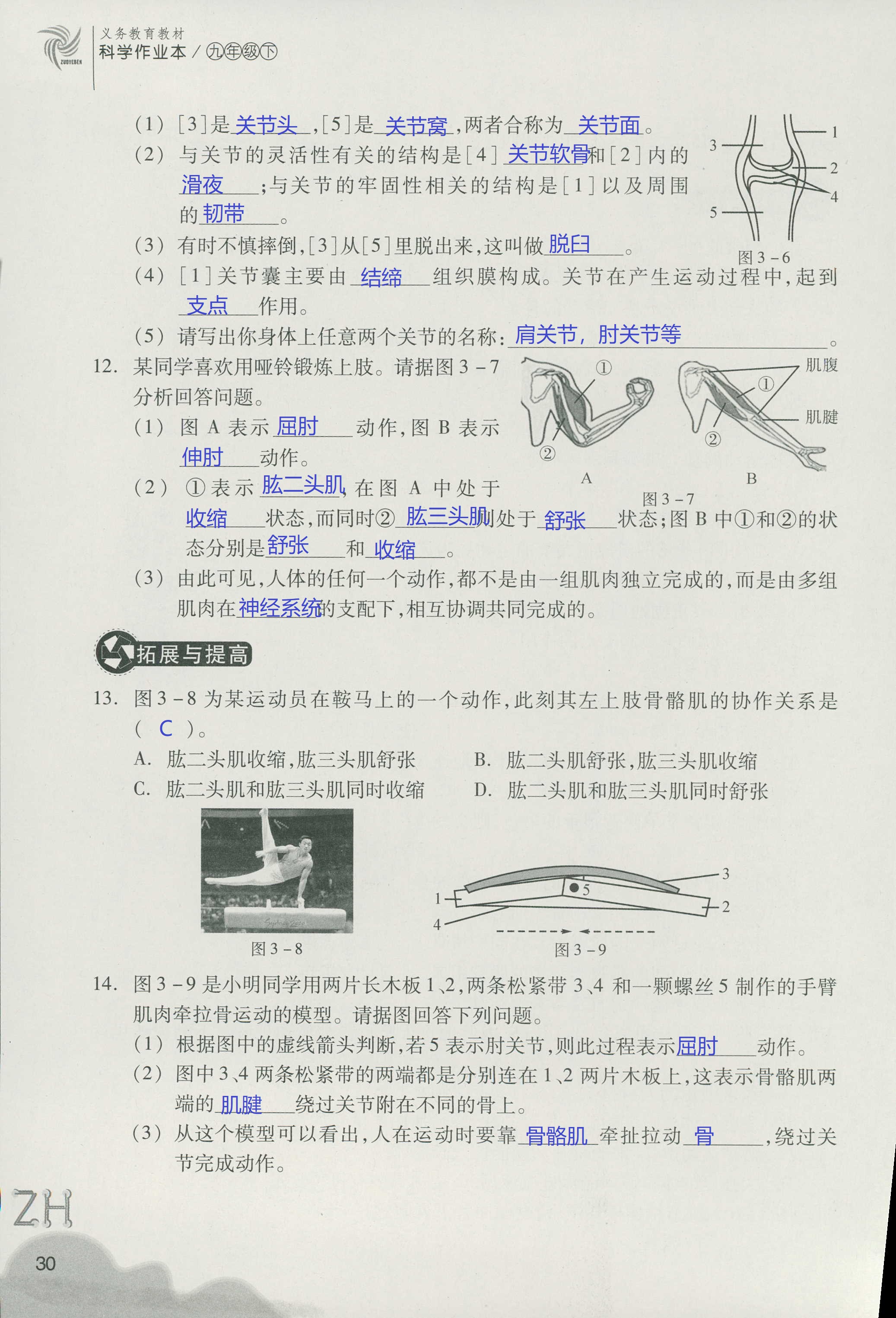 作業(yè)本B 第30頁