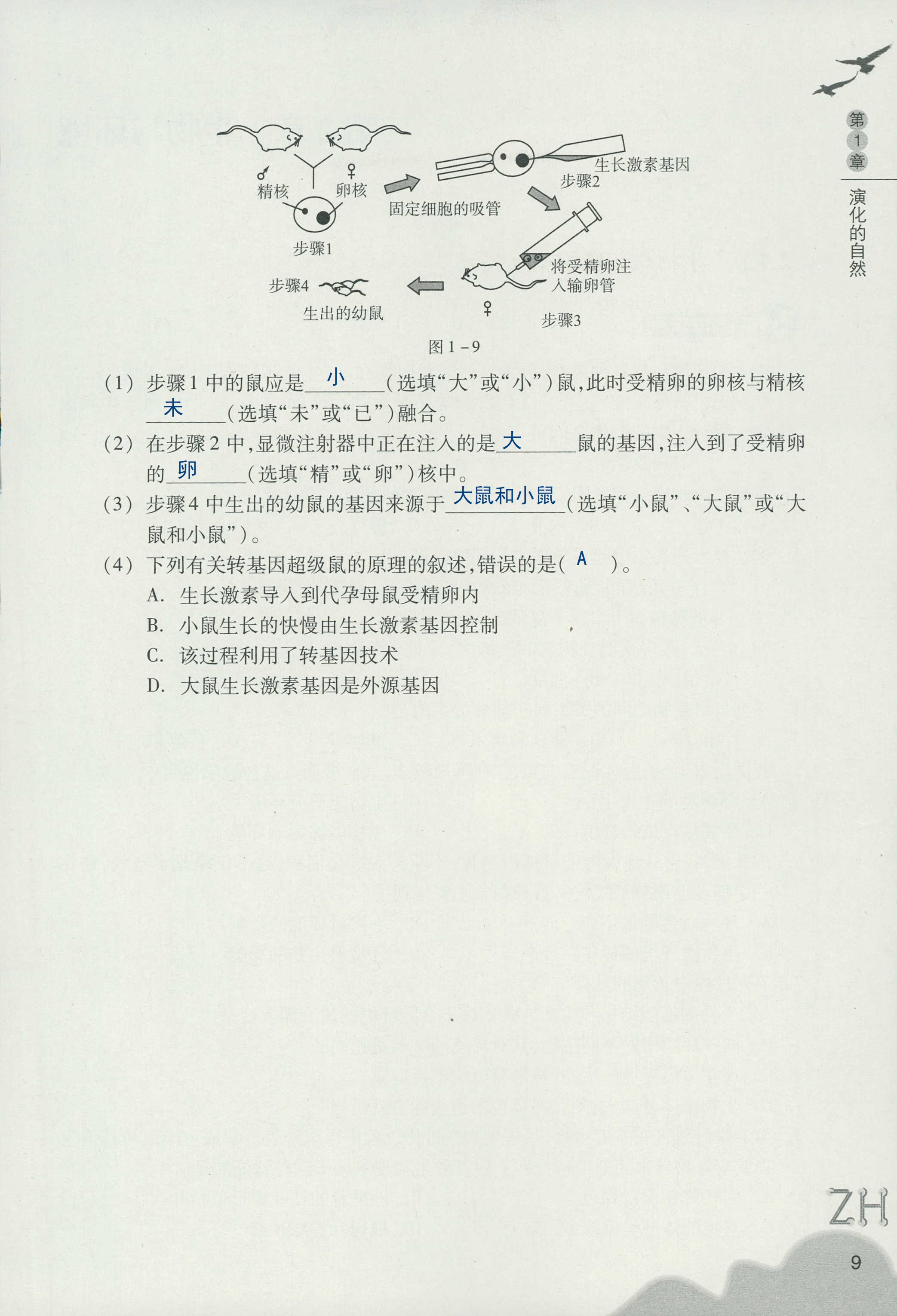 作业本B 第9页