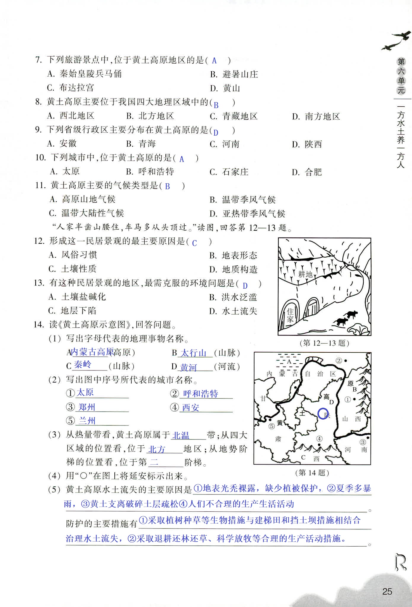 歷史與社會作業(yè)本 第11頁