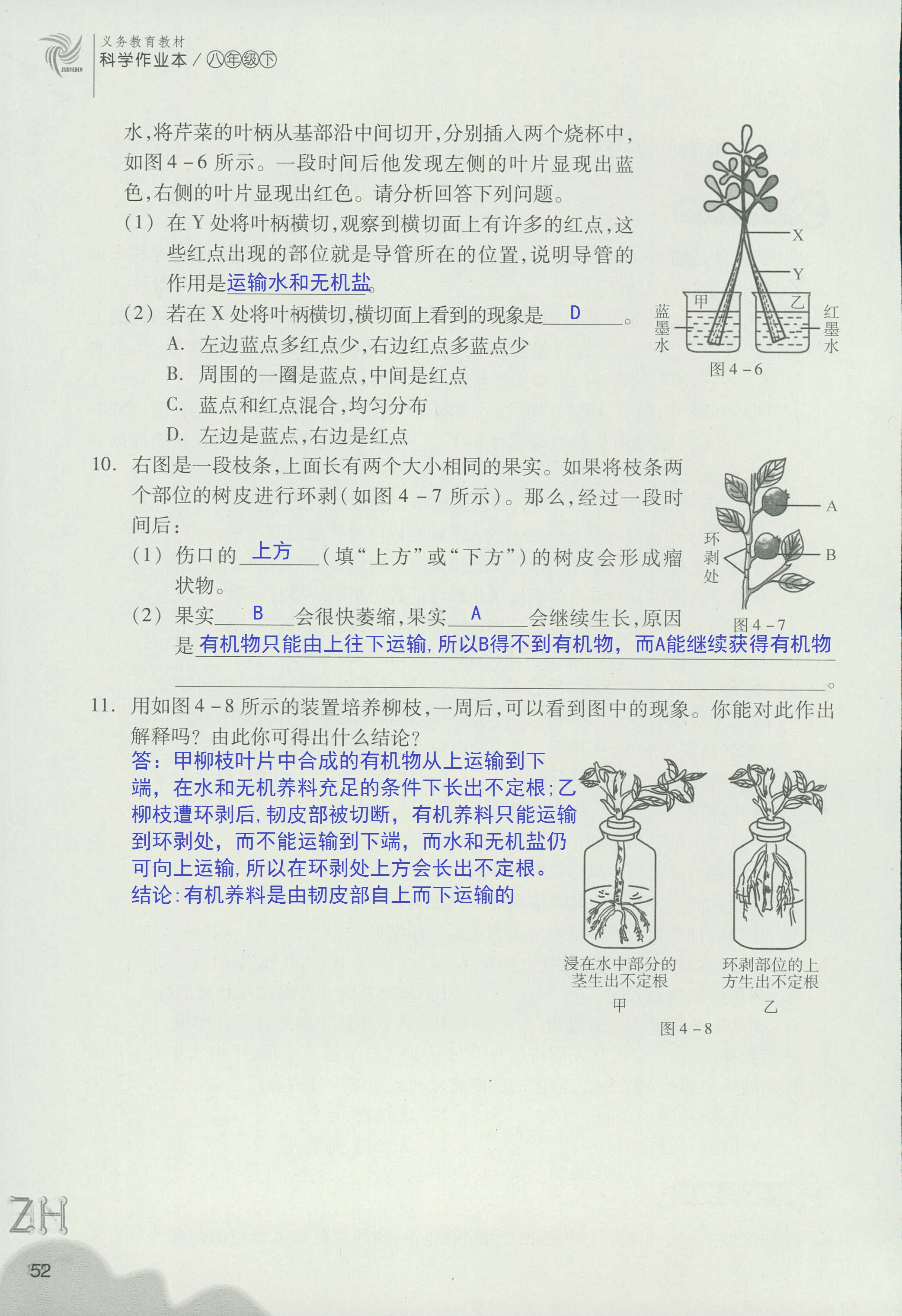 作业本B 第52页