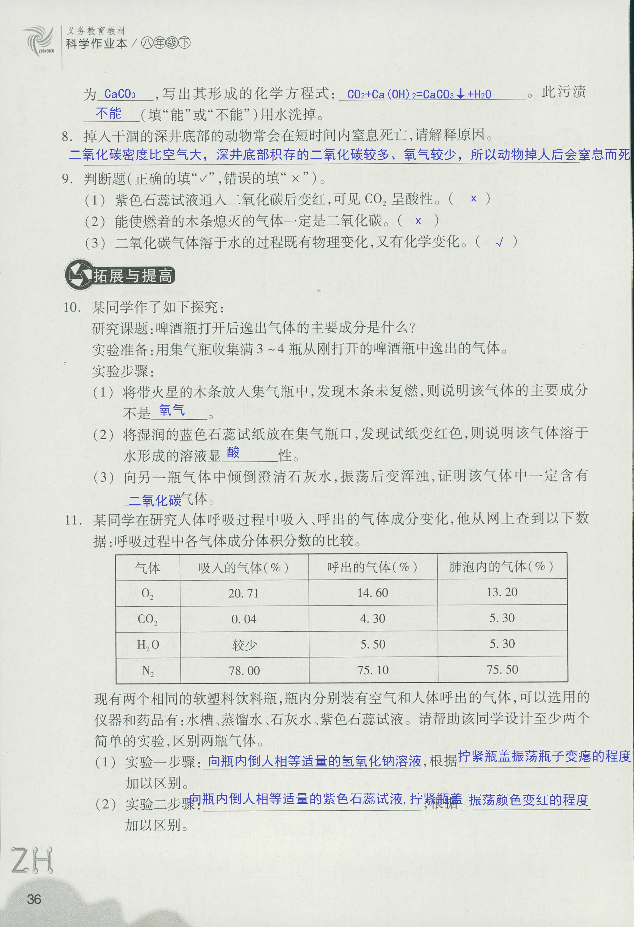 作业本B 第36页