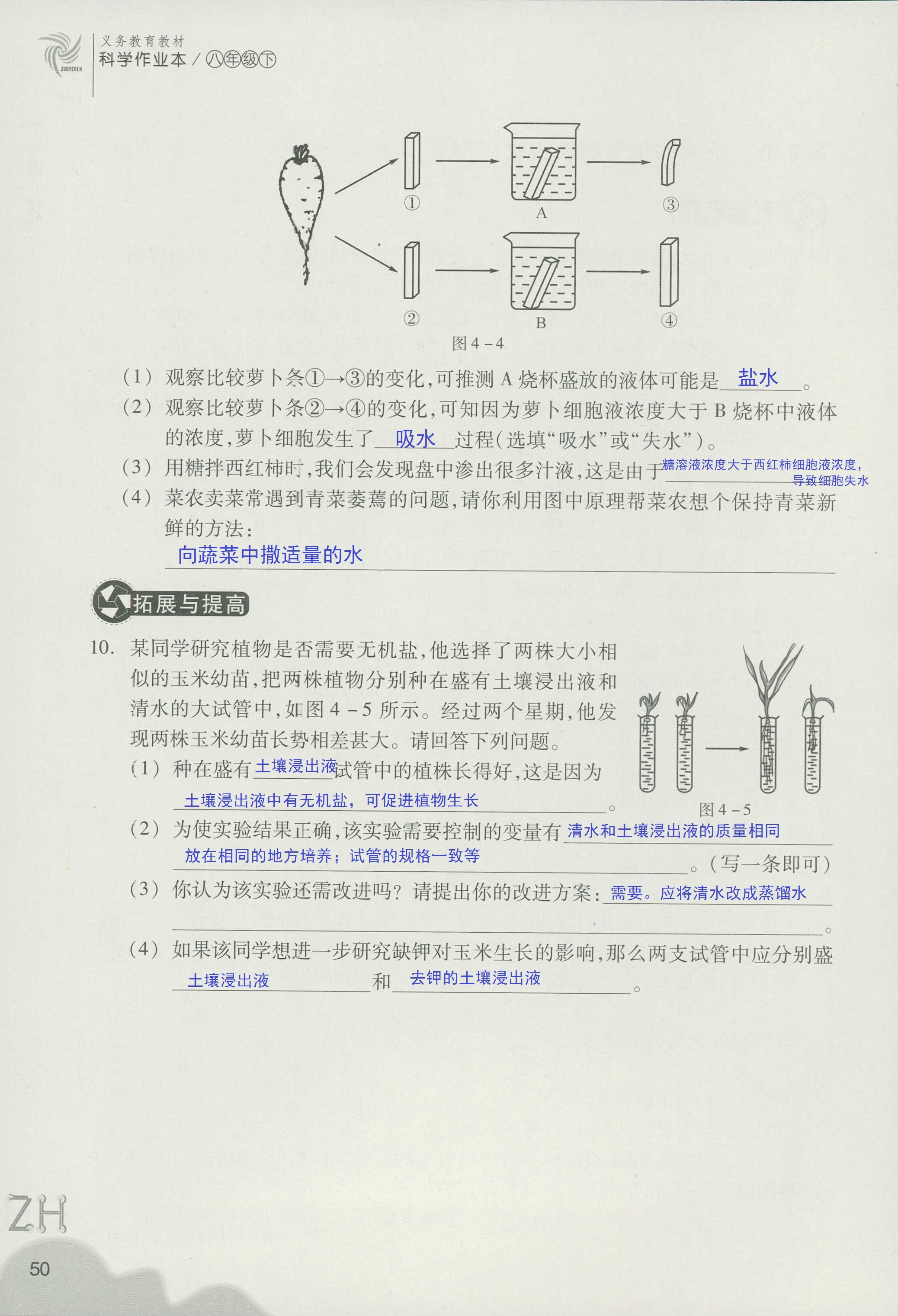 作業(yè)本B 第50頁(yè)